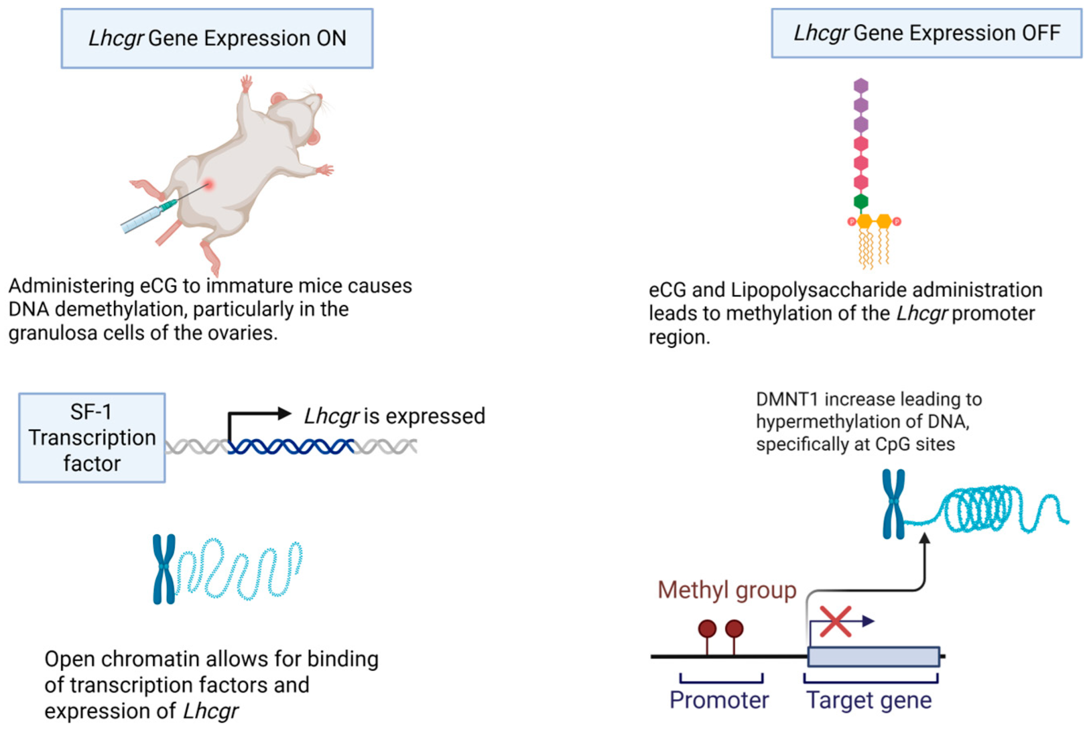Life 15 01109 g002 Life 15 01109 g002