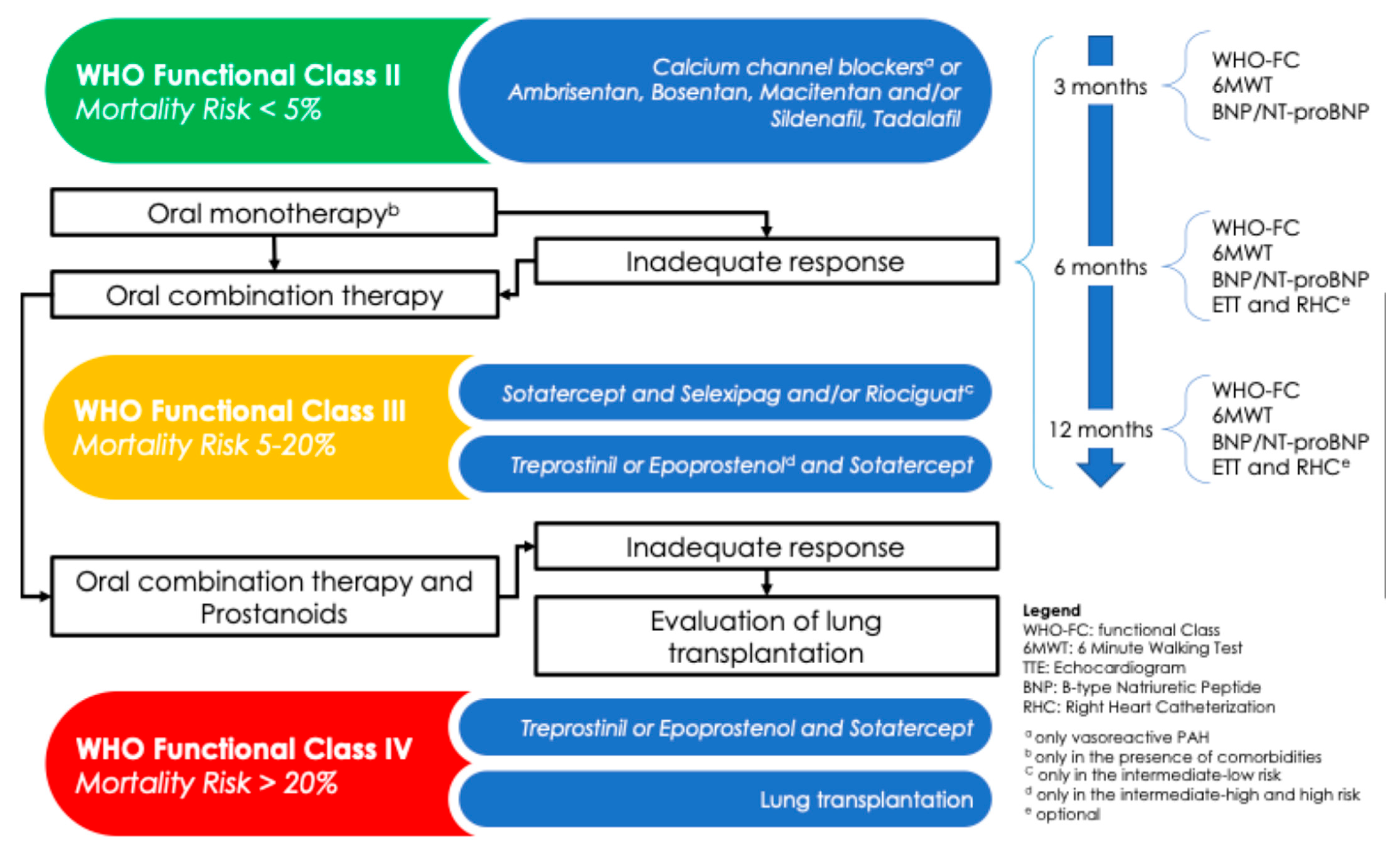 Pulmonary Hypertension: Let’s Take Stock! | MDPI