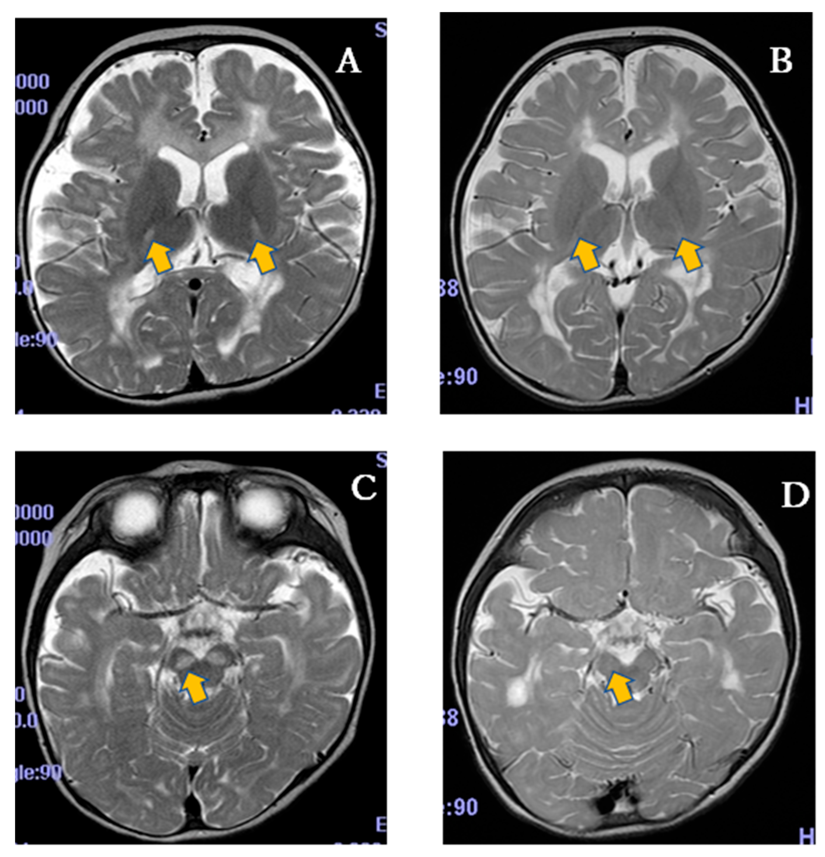 Life 15 01168 g005 Life 15 01168 g005