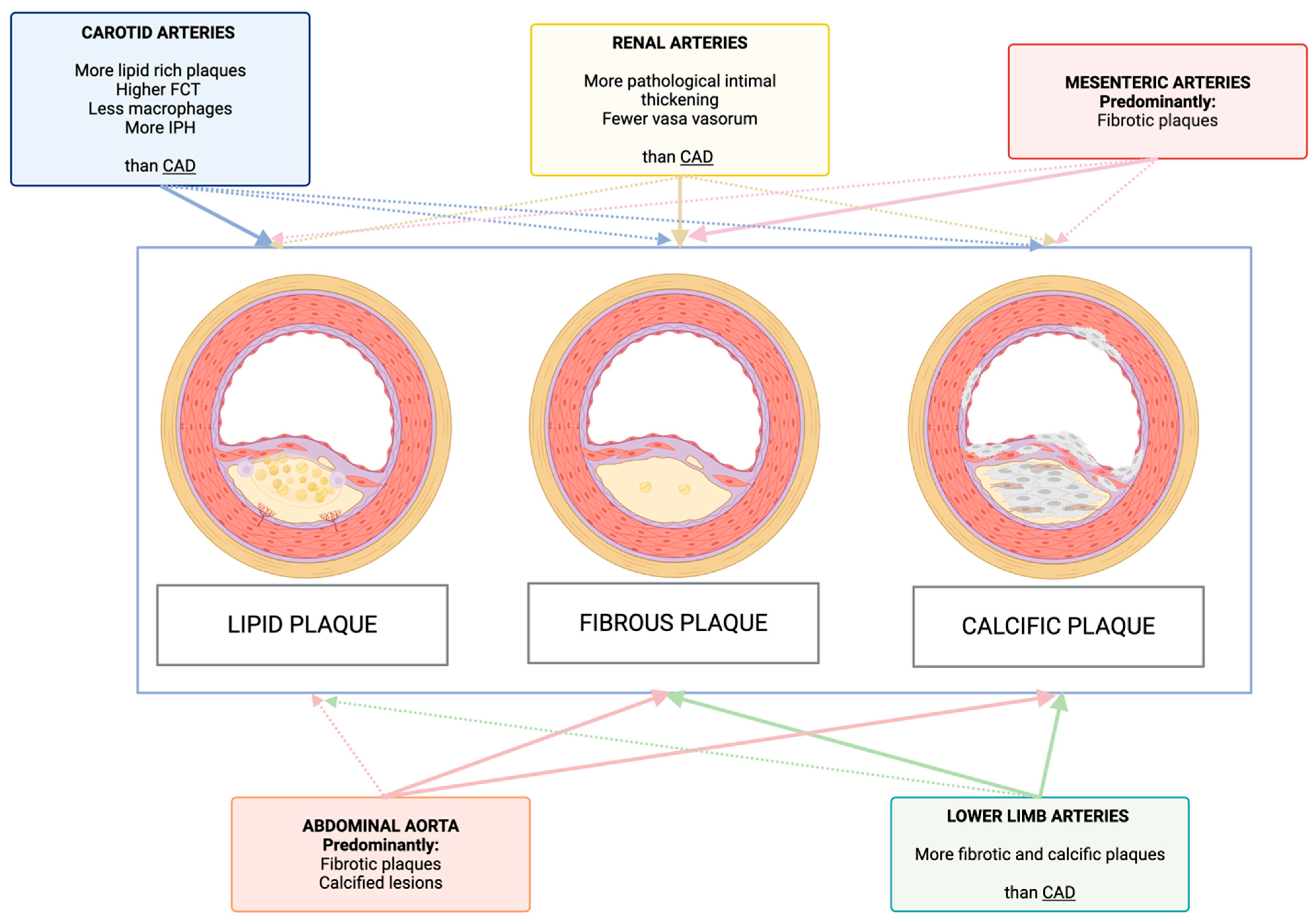 Life 15 01226 g002 Life 15 01226 g002