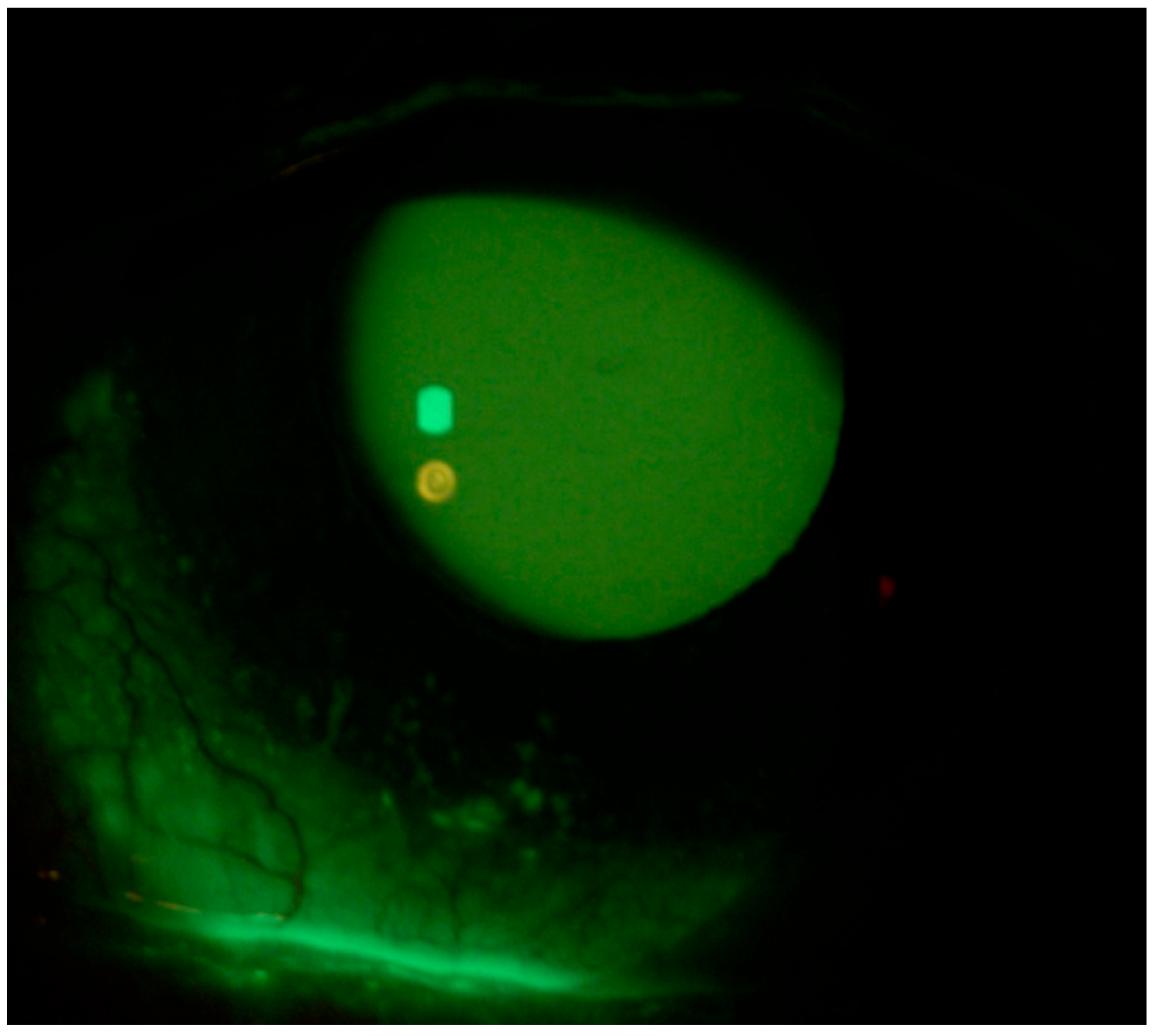 Life 15 01289 g001 Life 15 01289 g001