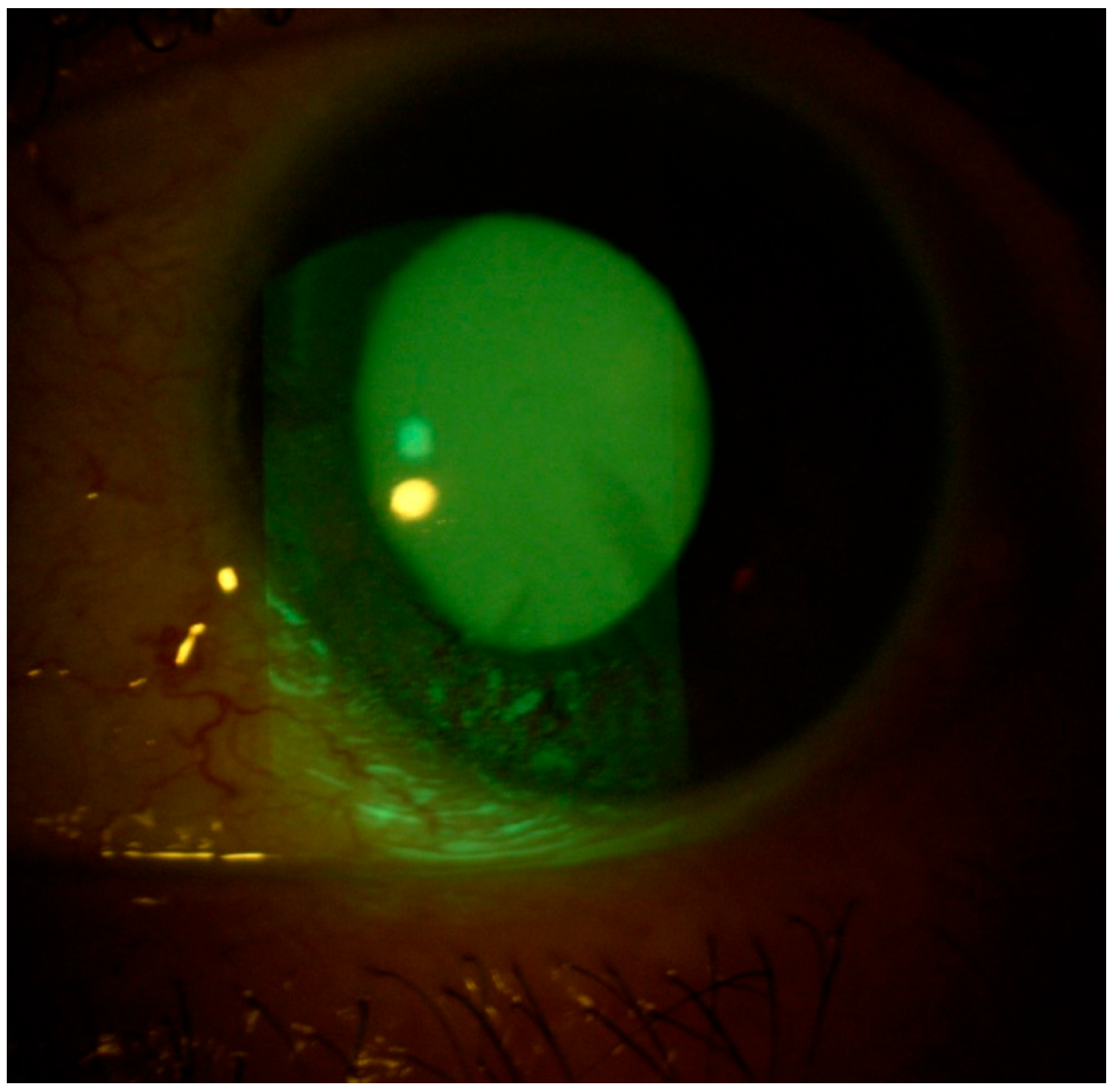 Life 15 01289 g002 Life 15 01289 g002