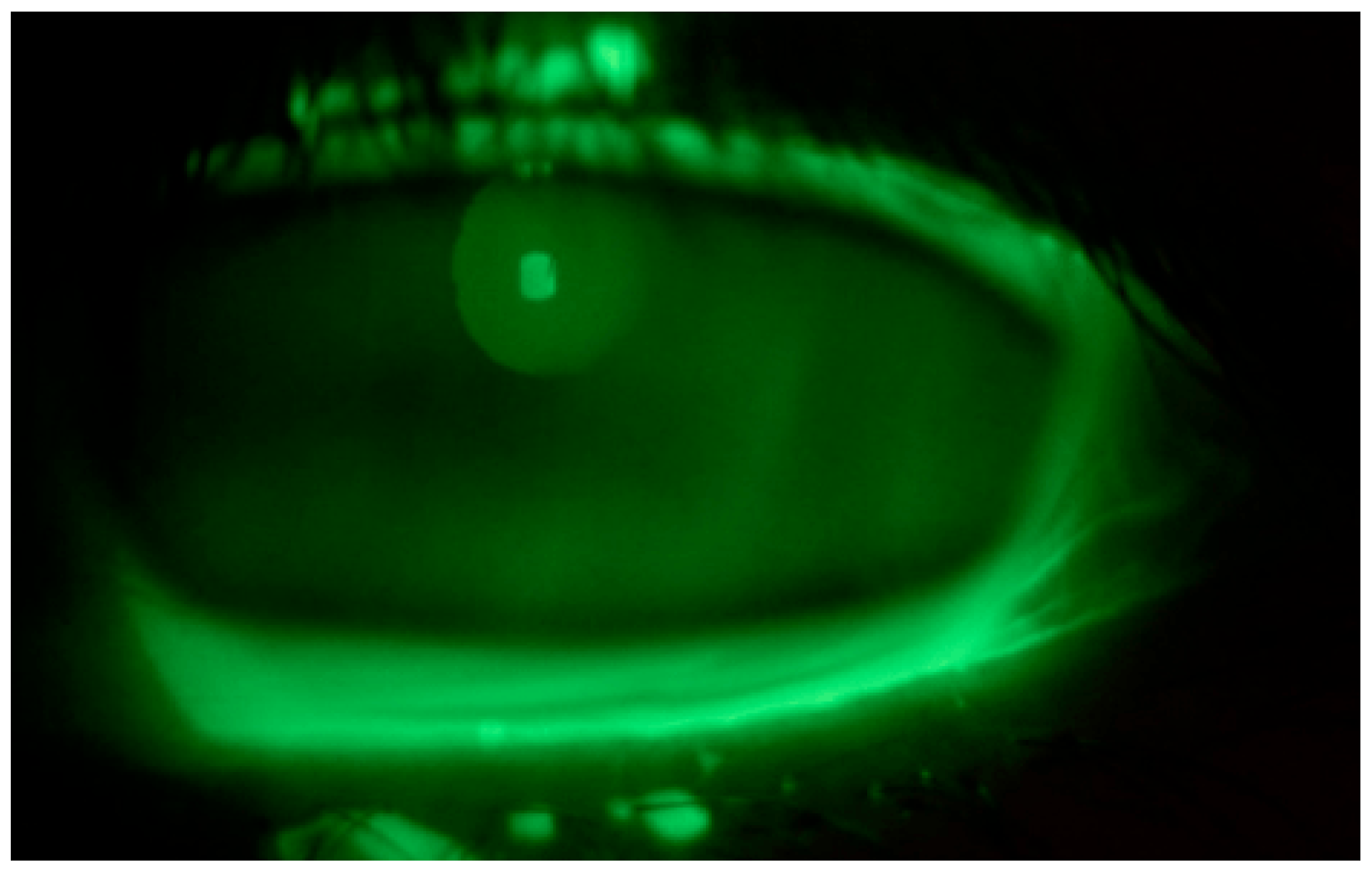 Life 15 01289 g004 Life 15 01289 g004