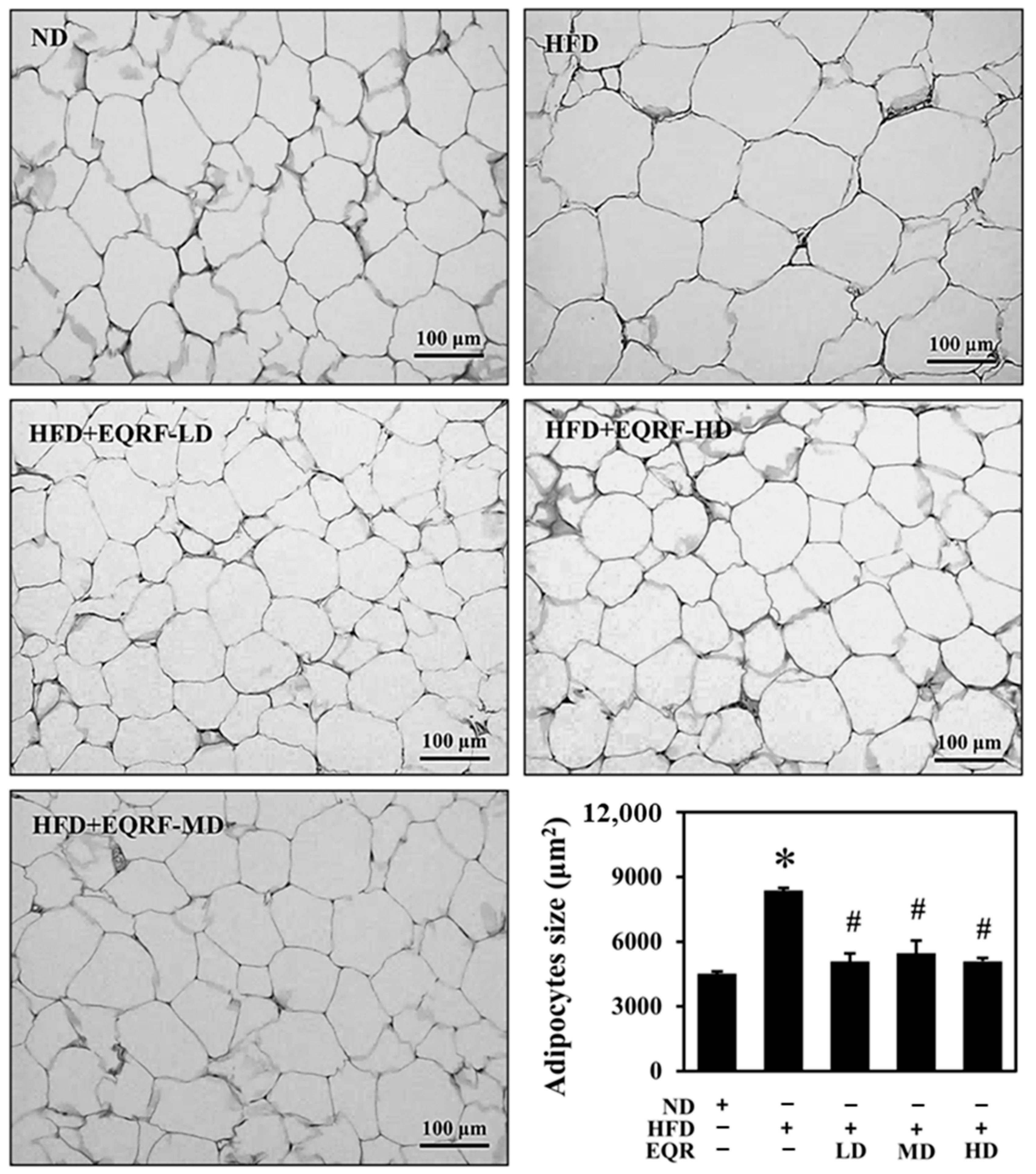 Life 15 01331 g002 Life 15 01331 g002