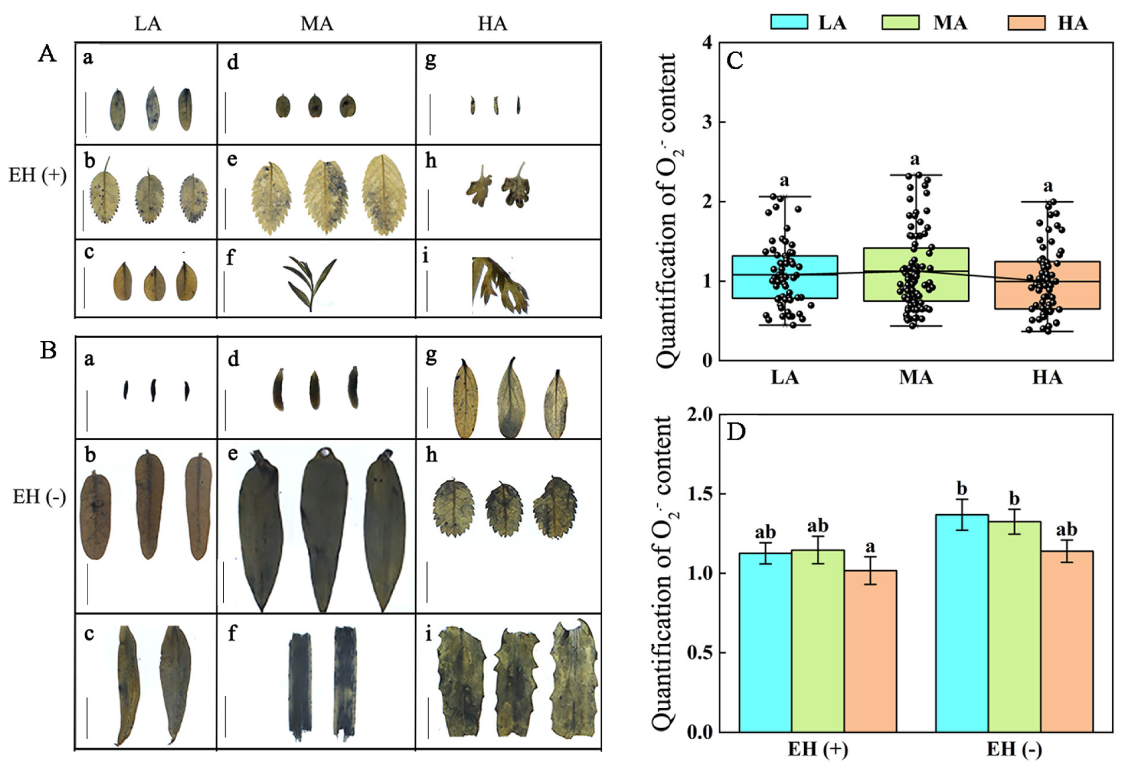 Life 15 01375 g007 Life 15 01375 g007
