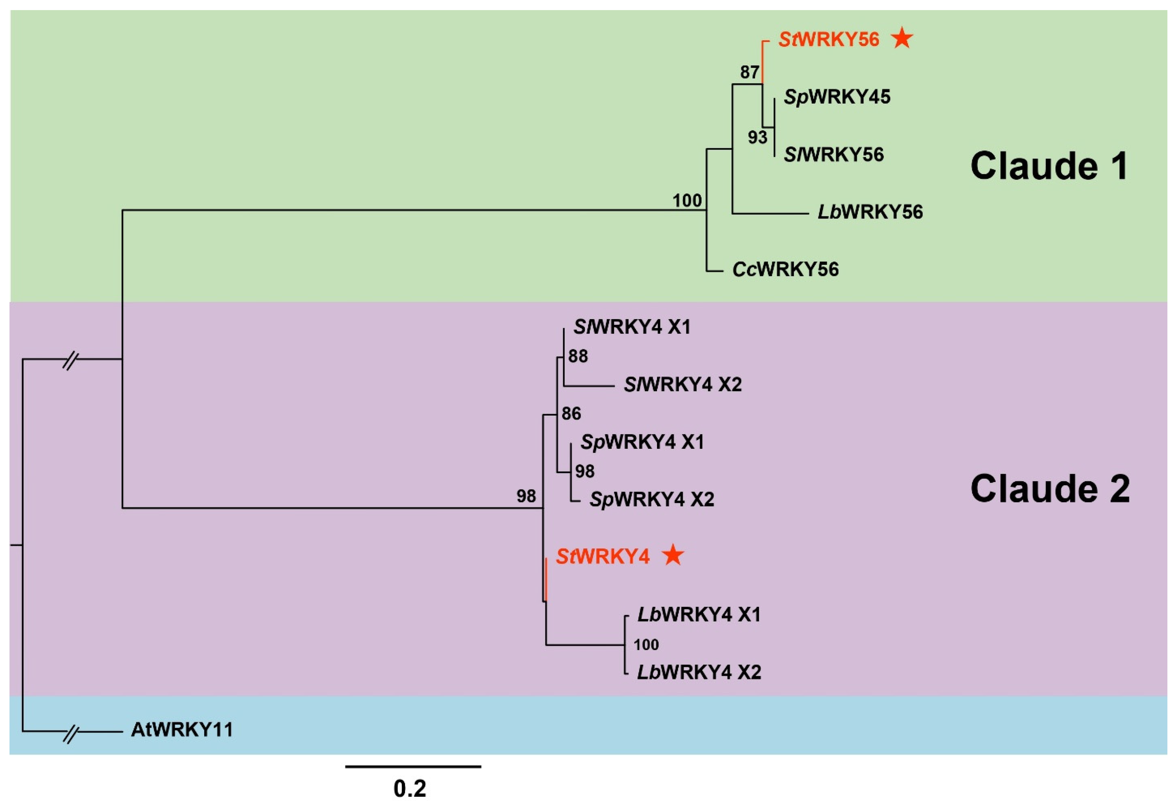 Life 15 01389 g002 Life 15 01389 g002