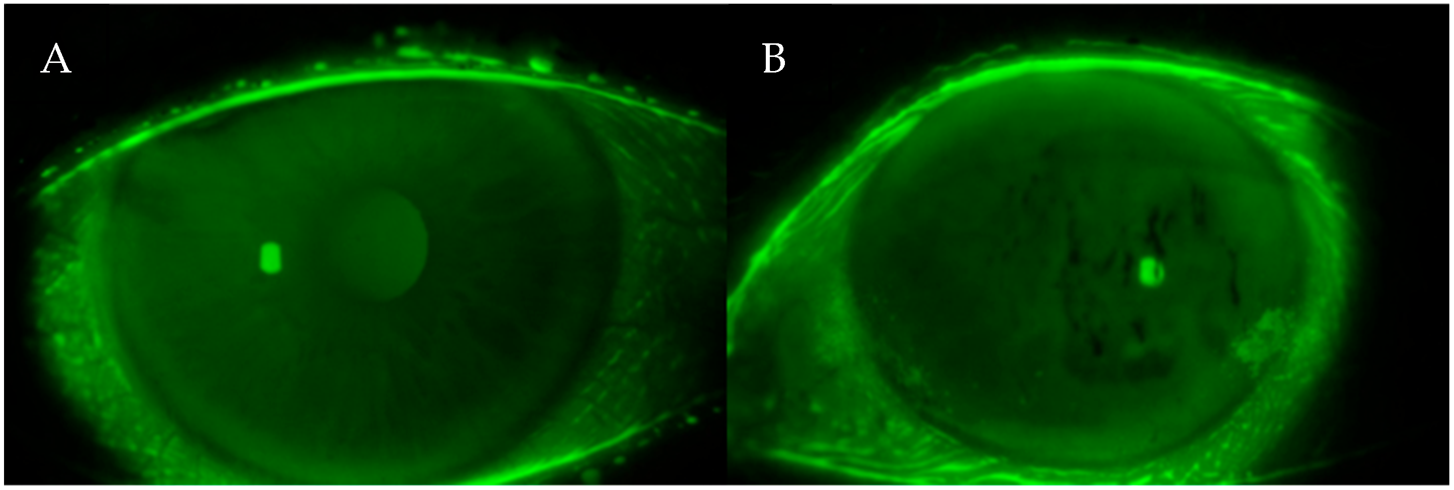 Life 15 01423 g001 Life 15 01423 g001
