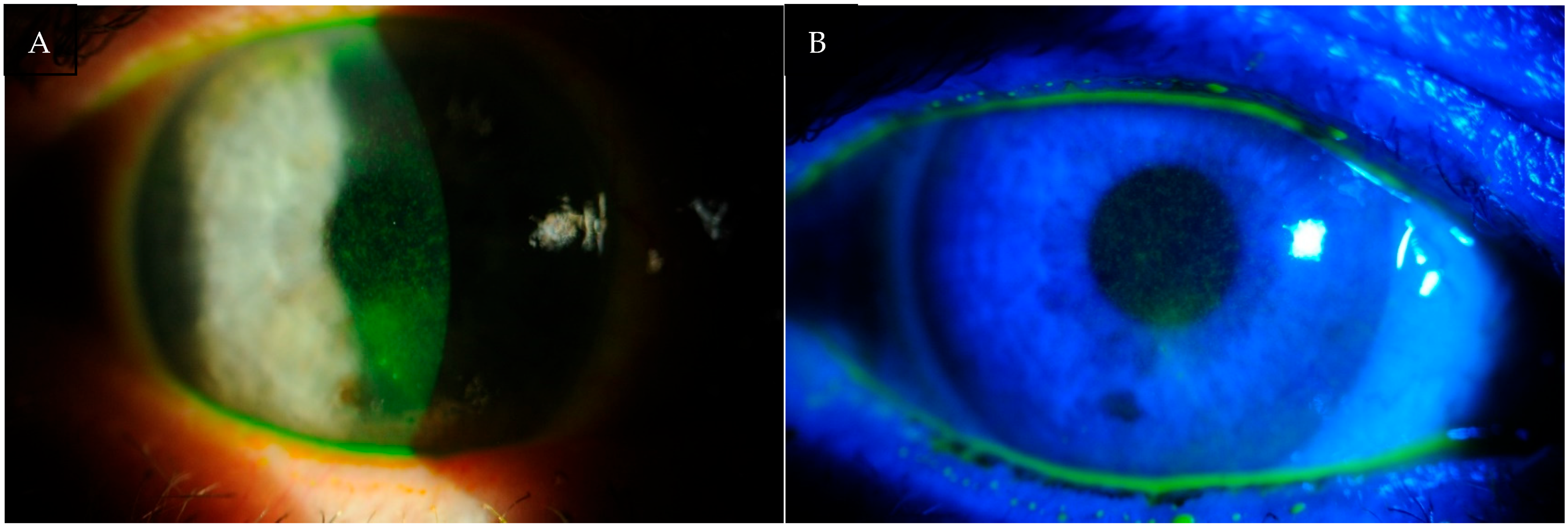 Life 15 01423 g003 Life 15 01423 g003