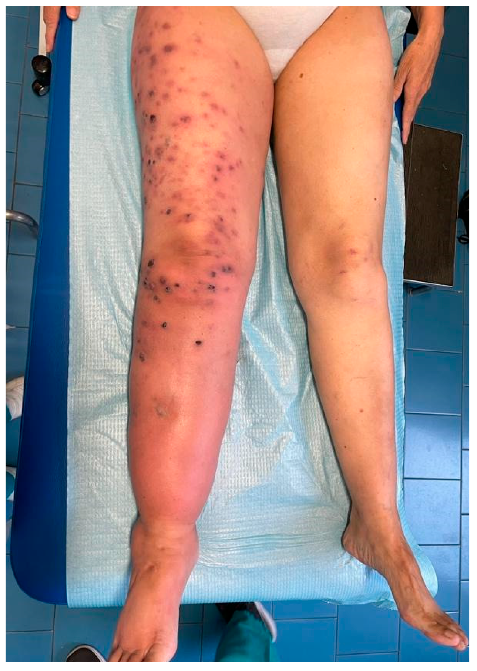 Life 15 01453 g003 Life 15 01453 g003