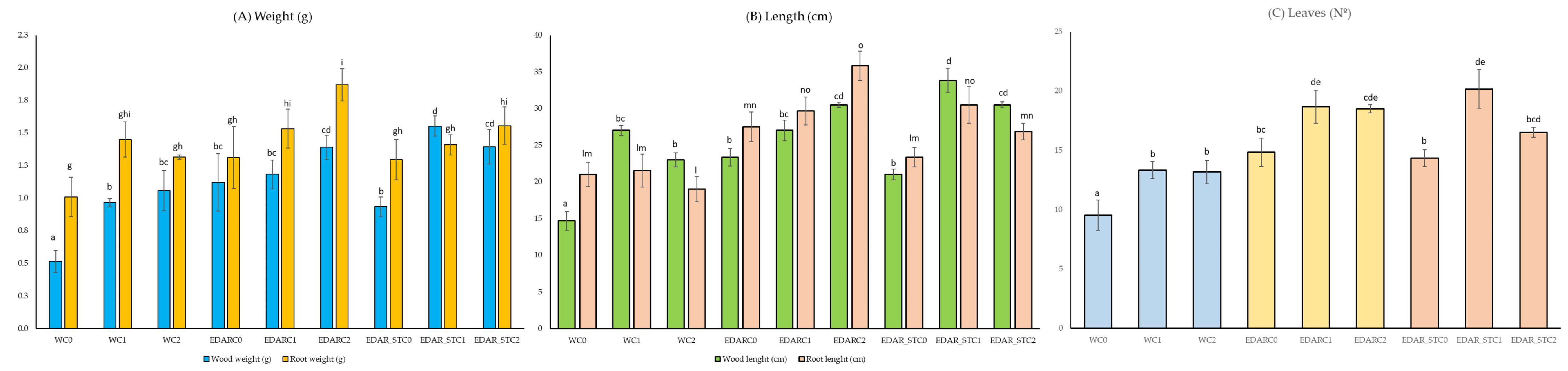 Life 15 01490 g002 Life 15 01490 g002