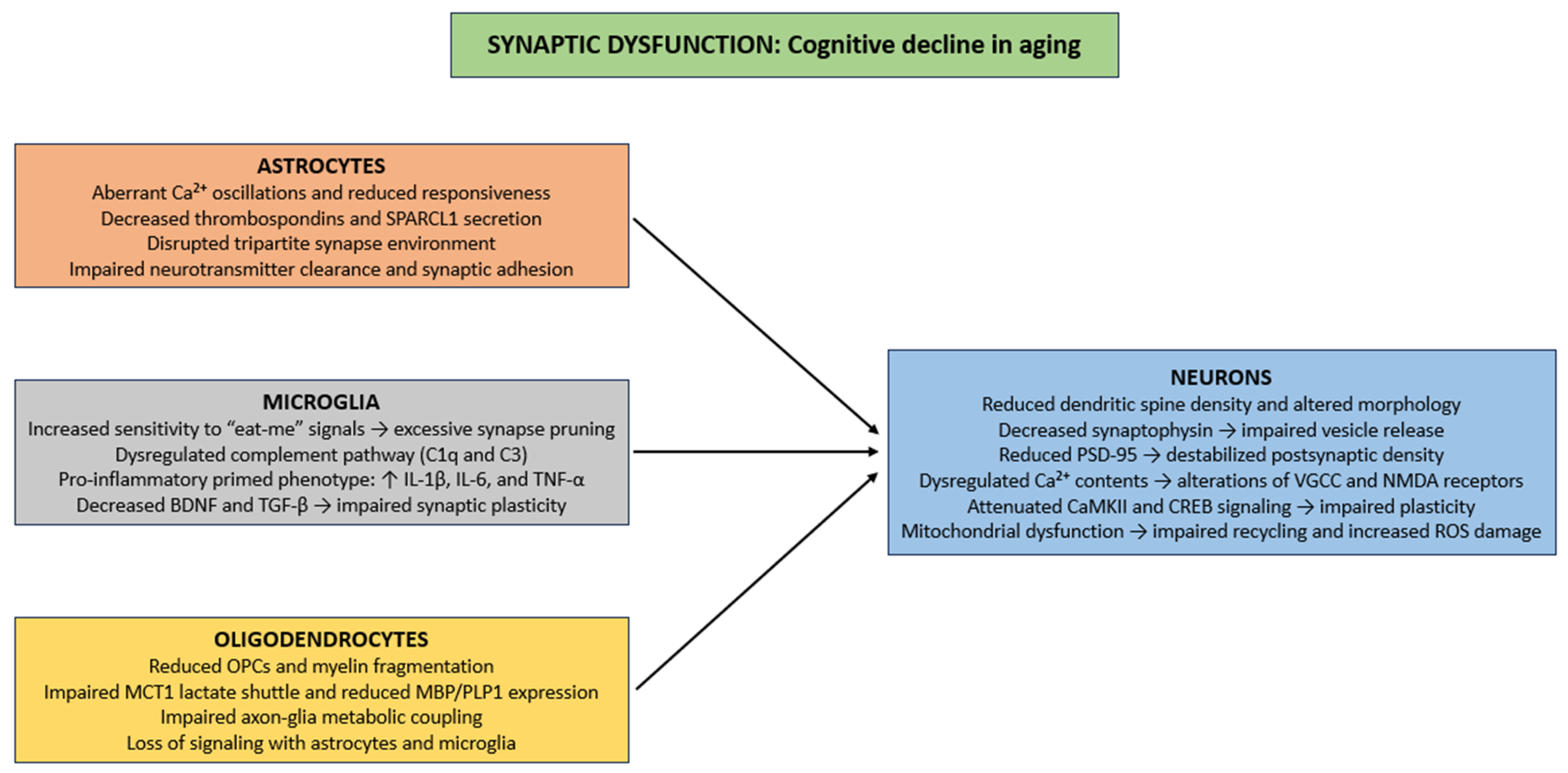 Life 15 01498 g002 Life 15 01498 g002