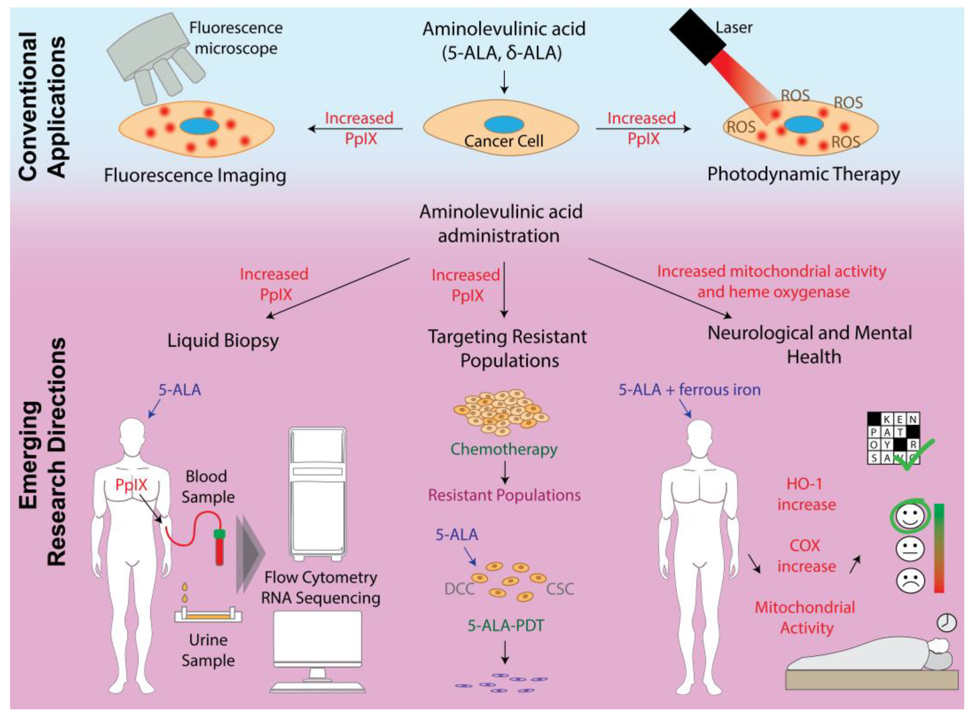 Life 15 01516 g002 Life 15 01516 g002