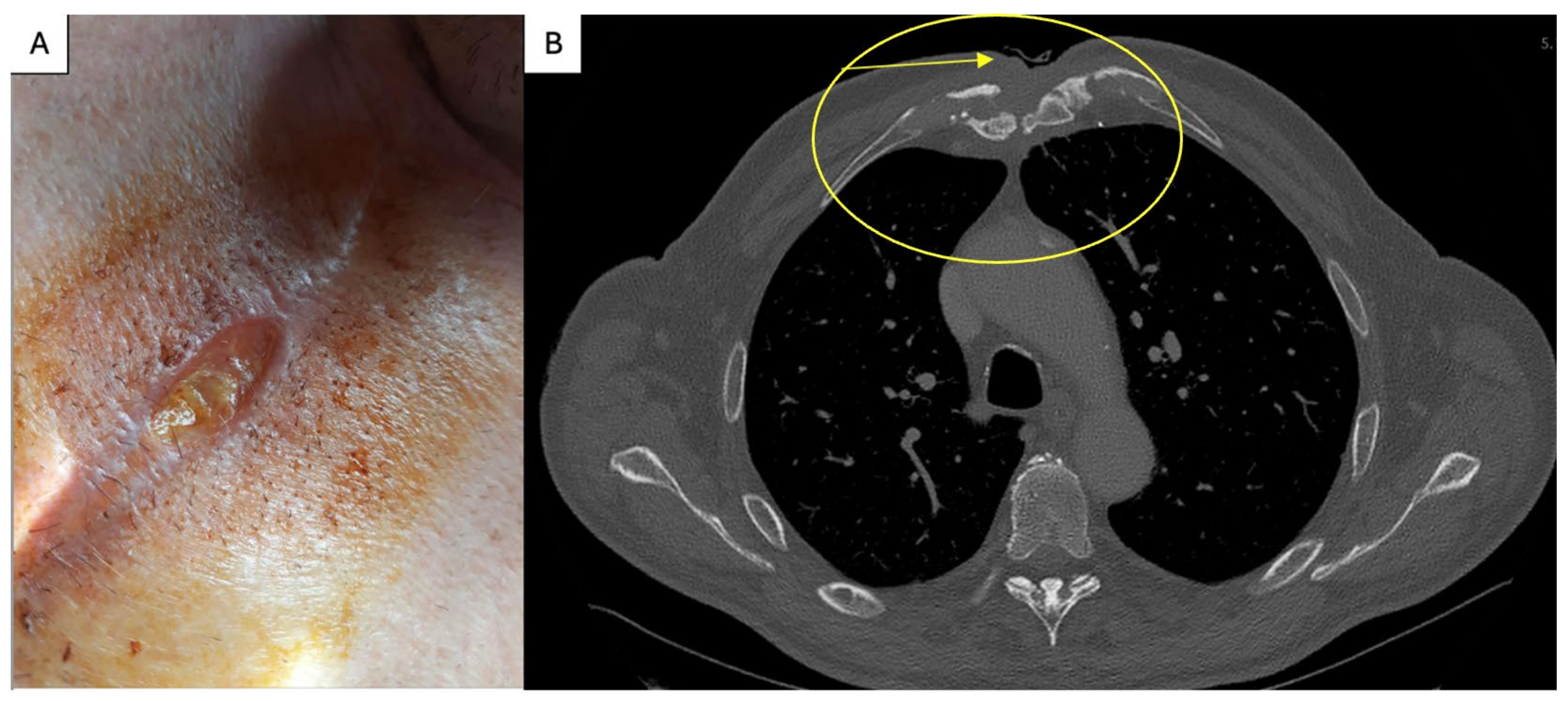 Life 15 01547 g002 Life 15 01547 g002