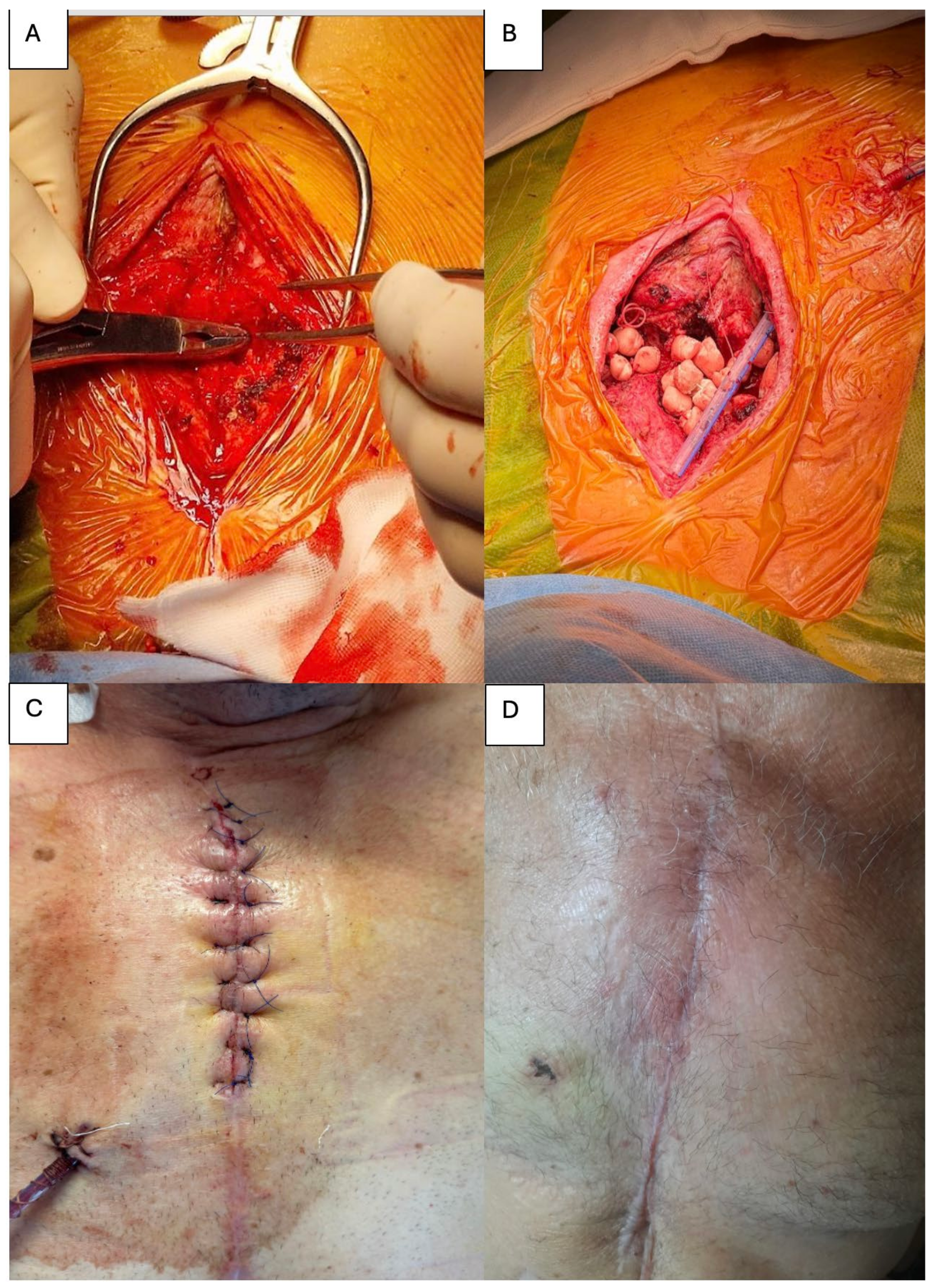 Life 15 01547 g003 Life 15 01547 g003