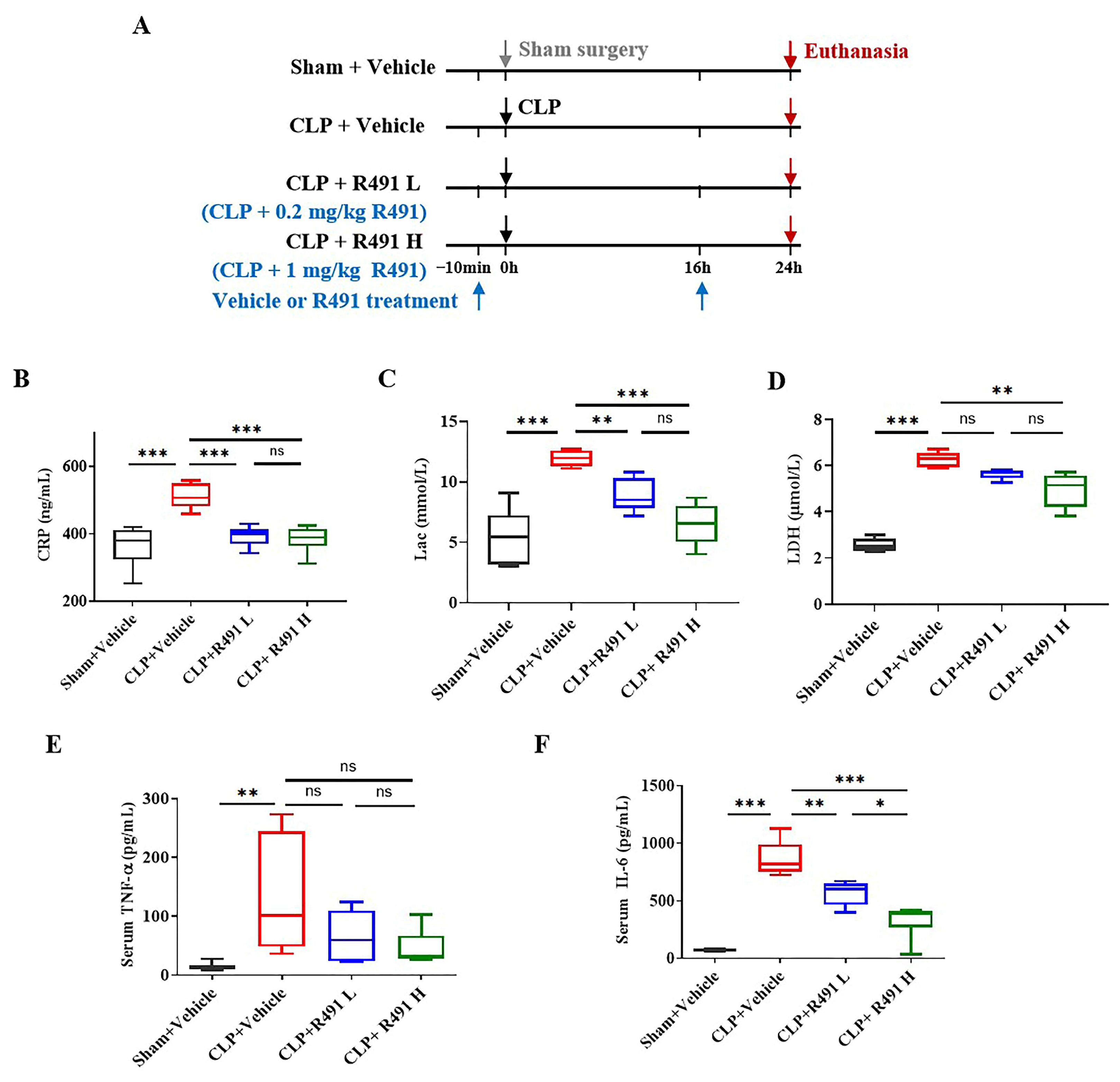 Life 15 01563 g003 Life 15 01563 g003
