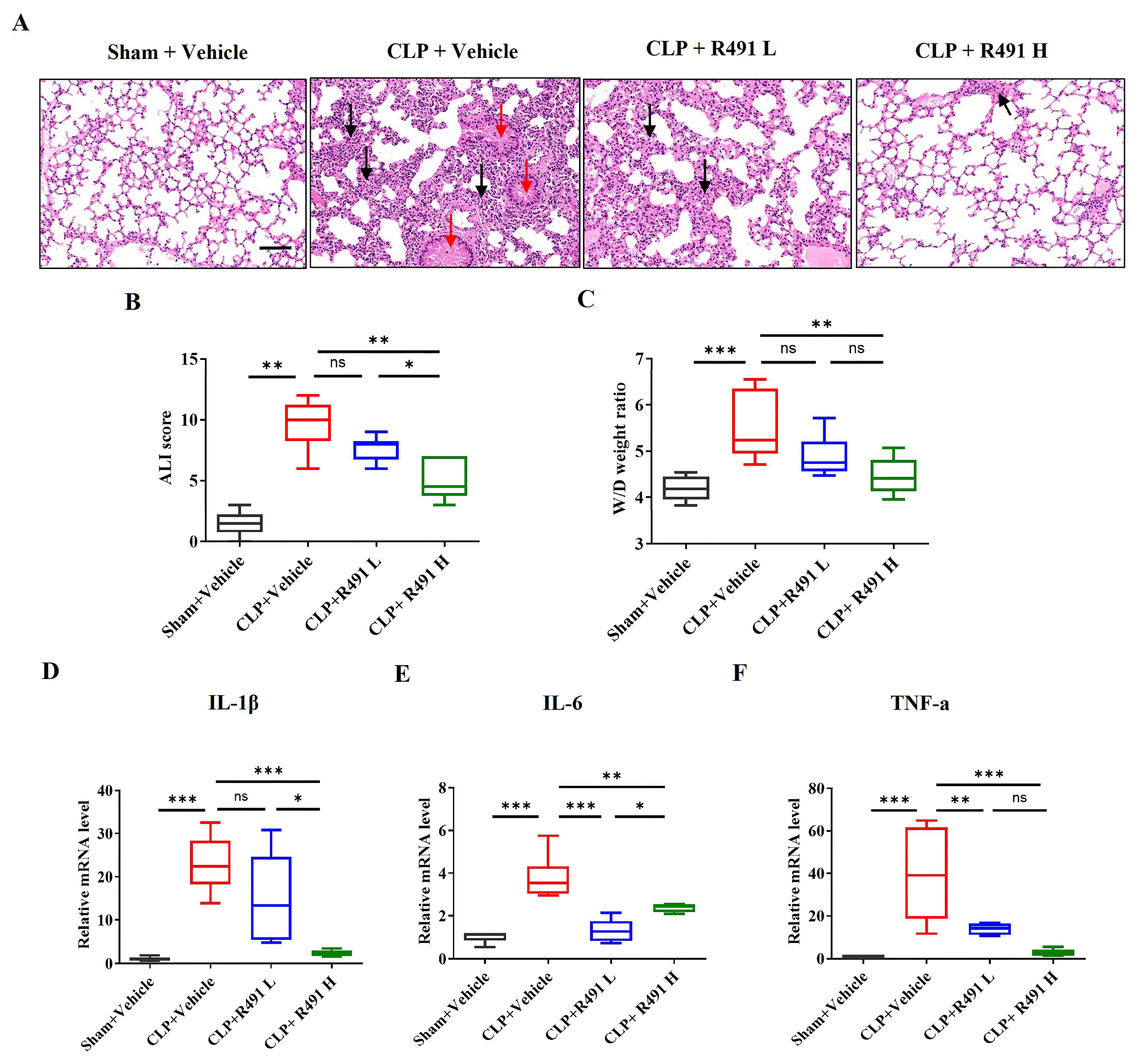 Life 15 01563 g004 Life 15 01563 g004