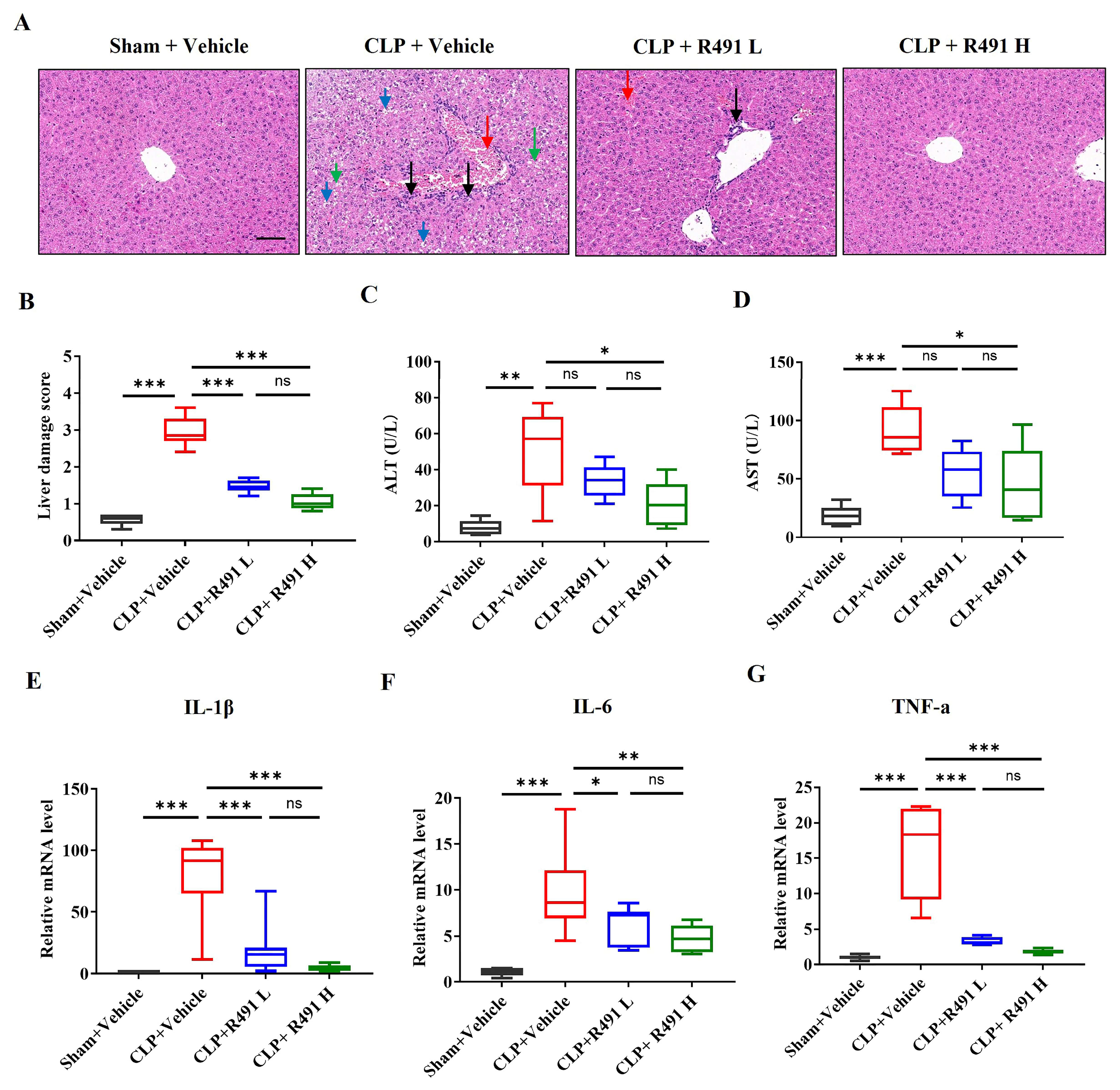 Life 15 01563 g005 Life 15 01563 g005