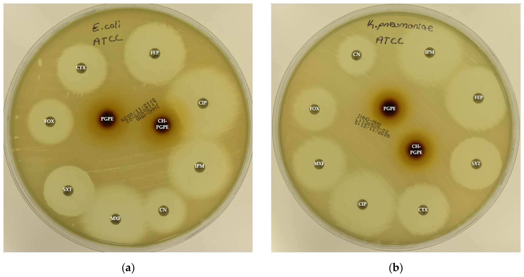 Life 15 01878 g003a Life 15 01878 g003a