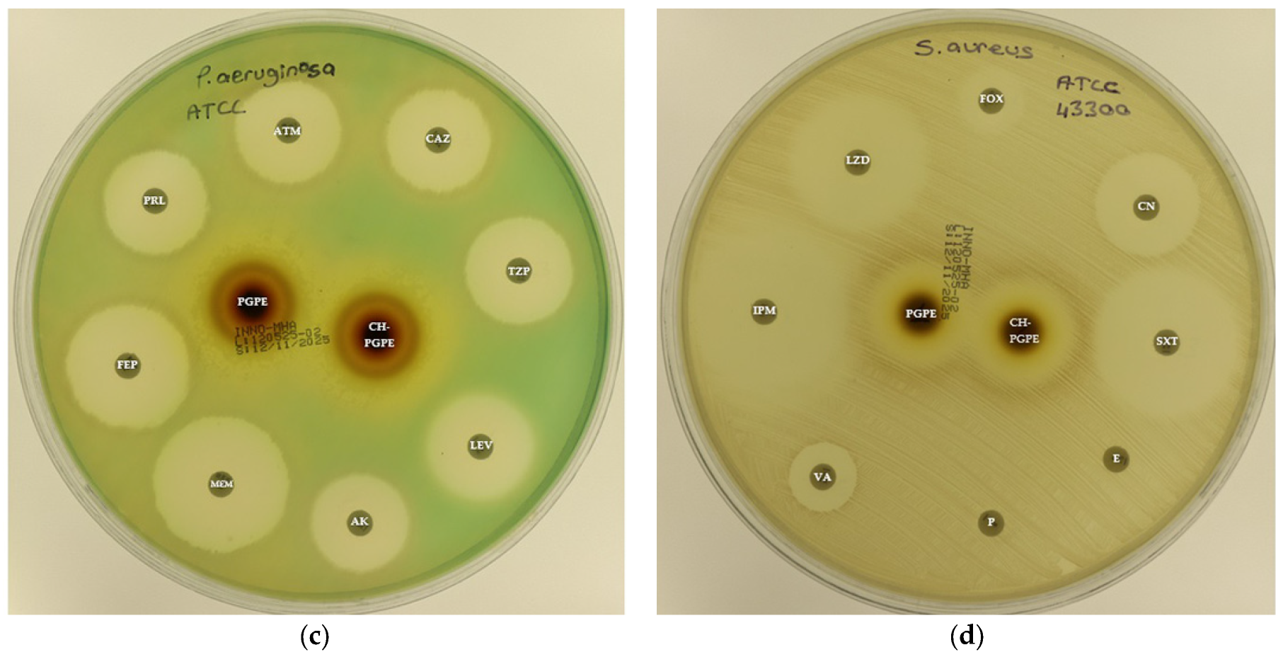 Life 15 01878 g003b Life 15 01878 g003b