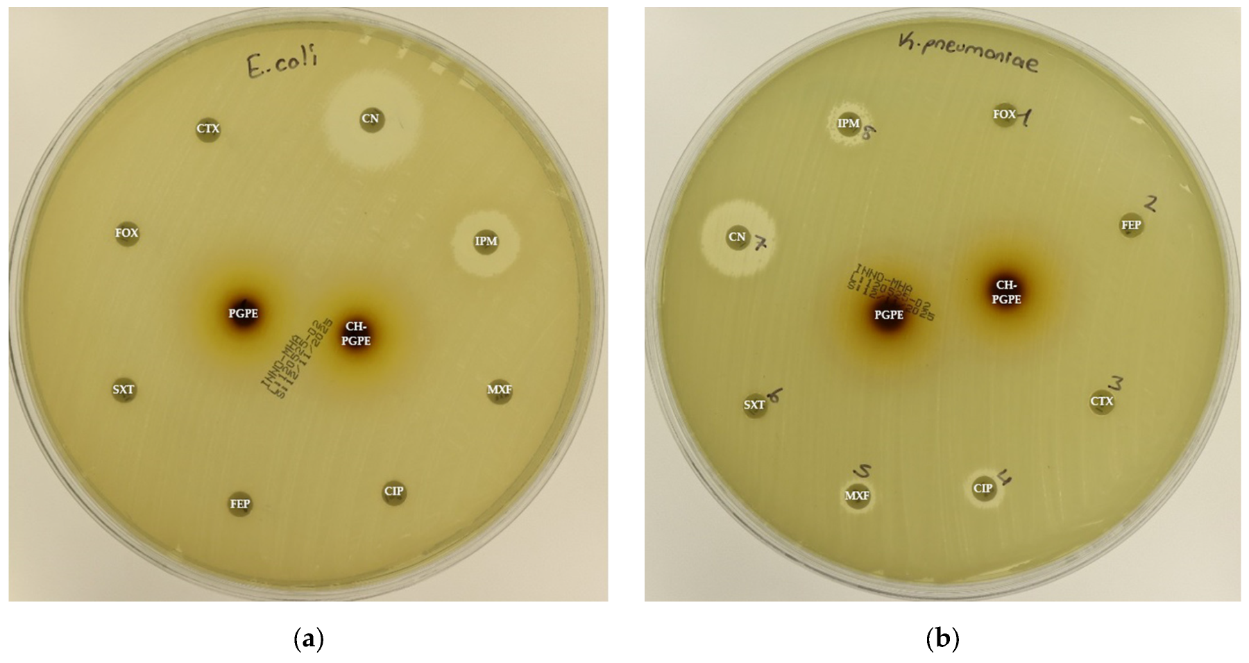 Life 15 01878 g004a Life 15 01878 g004a
