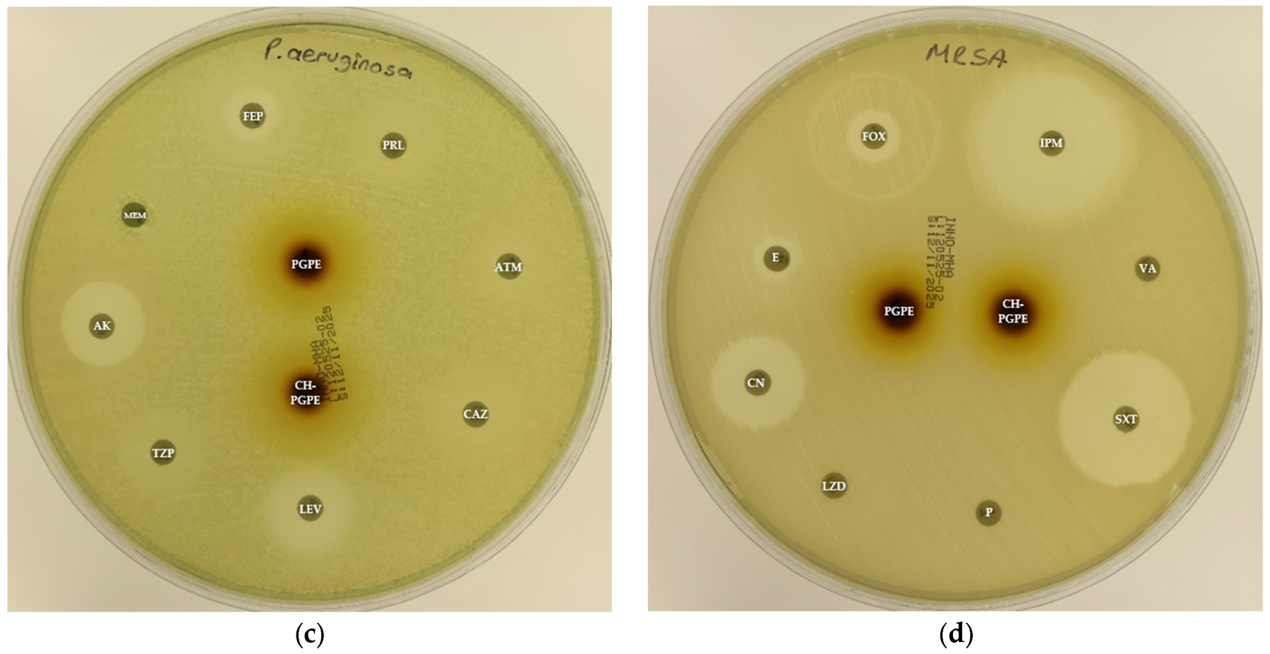 Life 15 01878 g004b Life 15 01878 g004b