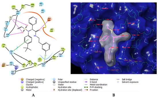 (A) Two-dimensional interaction scheme of inhibitor 14c (IPCL1) [20] at the active site of the 3CLpro protease of SARS-CoV-2. (B) Solid molecular surface of 3CLpro (in blue), modelled in Insight-II [21], with the bound inhibitor IPCL1. The molecular surface of the IPCL1 inhibitor (in white) defines the occupied volume in the active site of 3CLpro. Carbon atoms are coloured magenta for the IPCL1 ligand and green for the protease 3CLpro. The side chains of the interacting residues and the ligand are represented as sticks.
