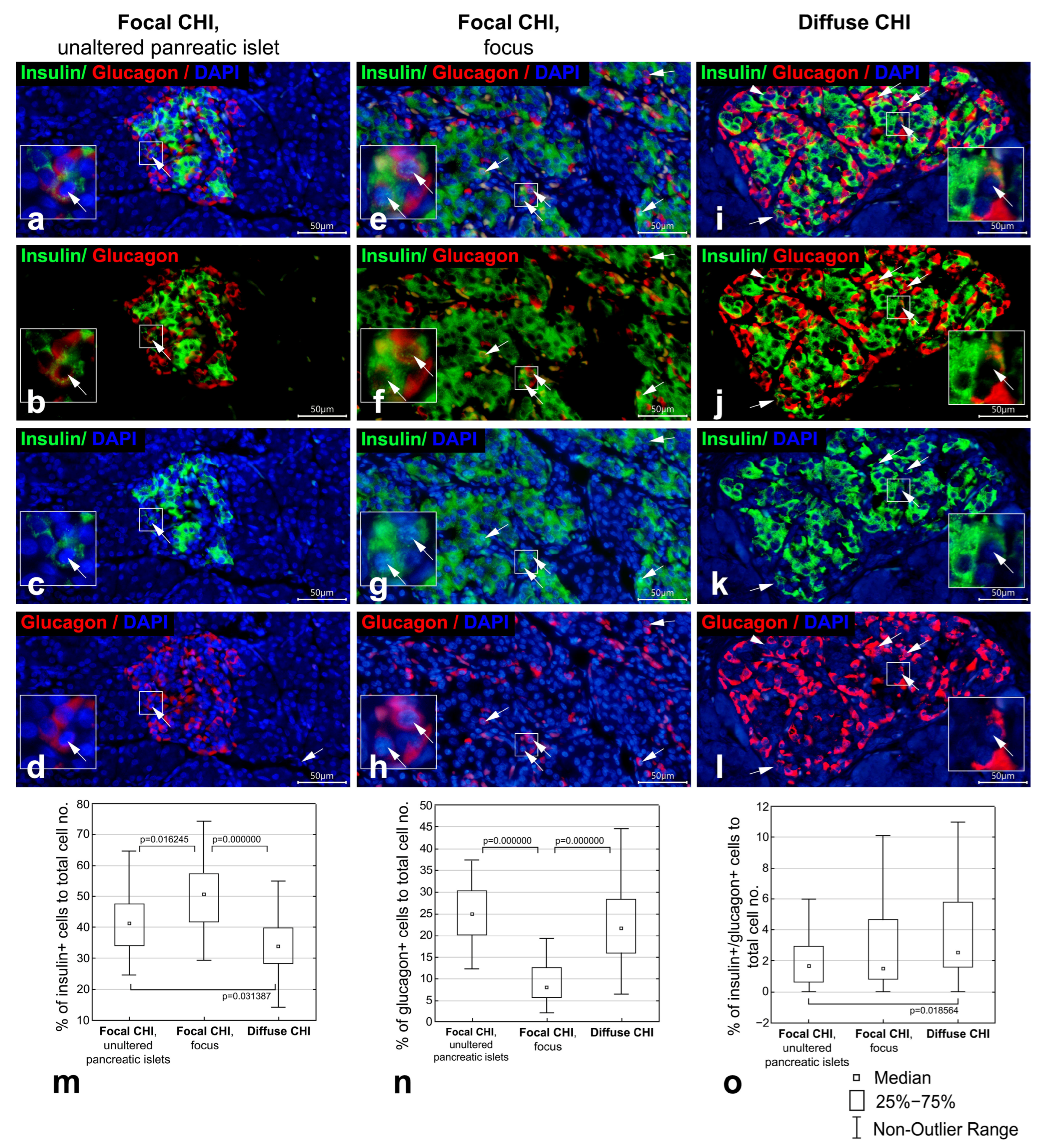 Life 16 00018 g001 Life 16 00018 g001