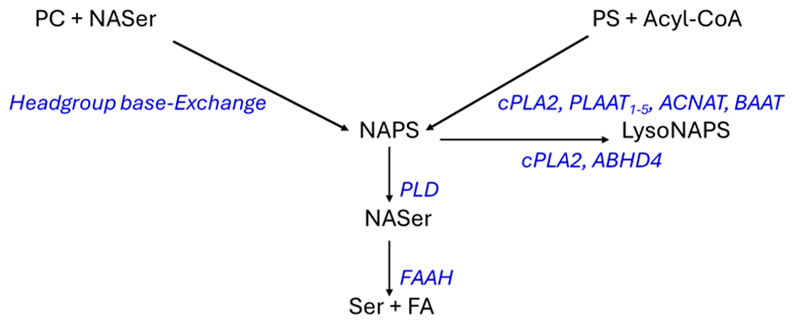 Life 16 00022 g006 Life 16 00022 g006