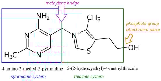 Structural formula of thiamine; author’s own figure based on [20,21,22,23].
