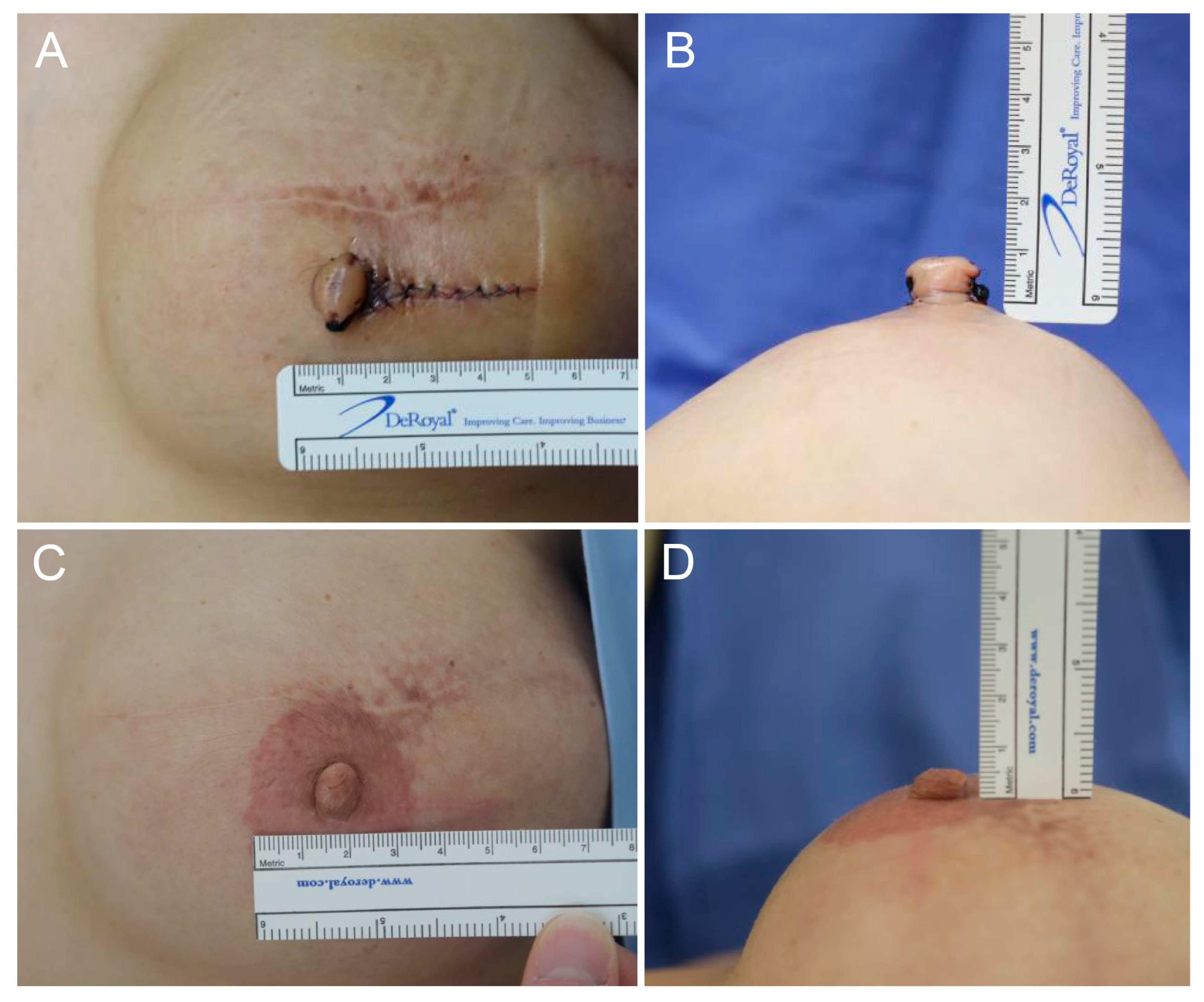 Life 16 00088 g004 Life 16 00088 g004