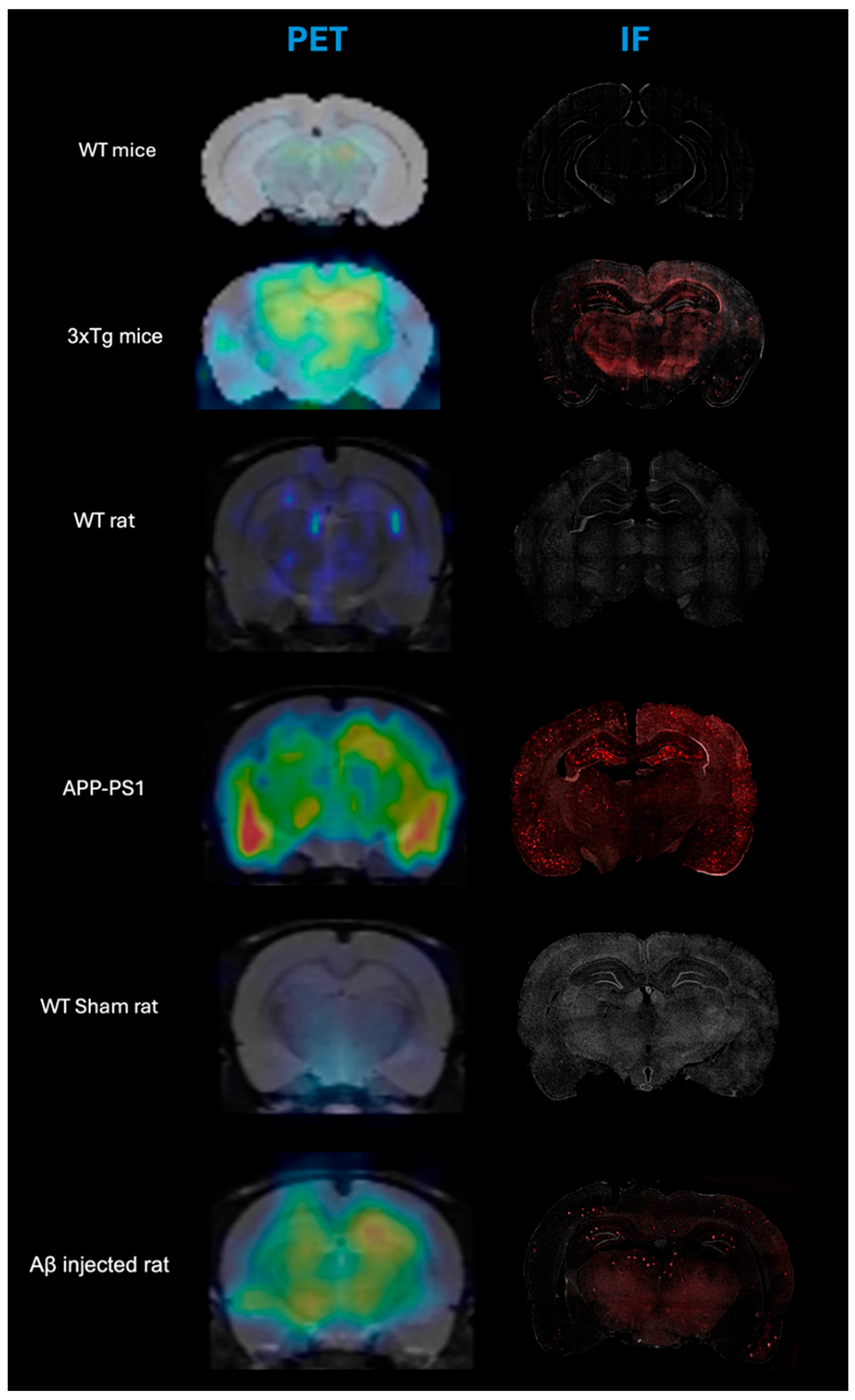 Life 16 00123 g001 Life 16 00123 g001