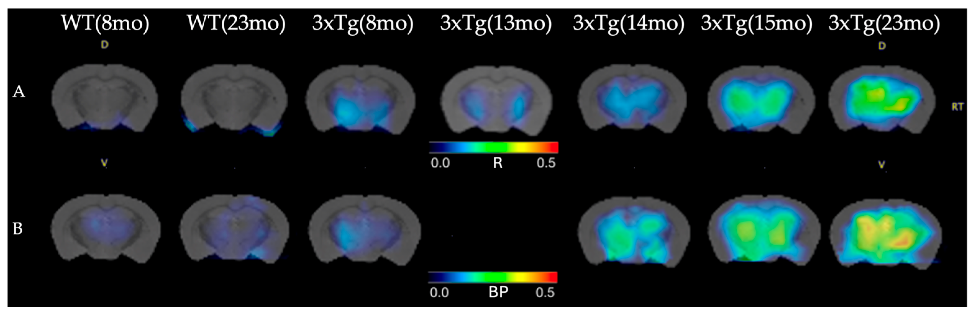Life 16 00123 g002 Life 16 00123 g002