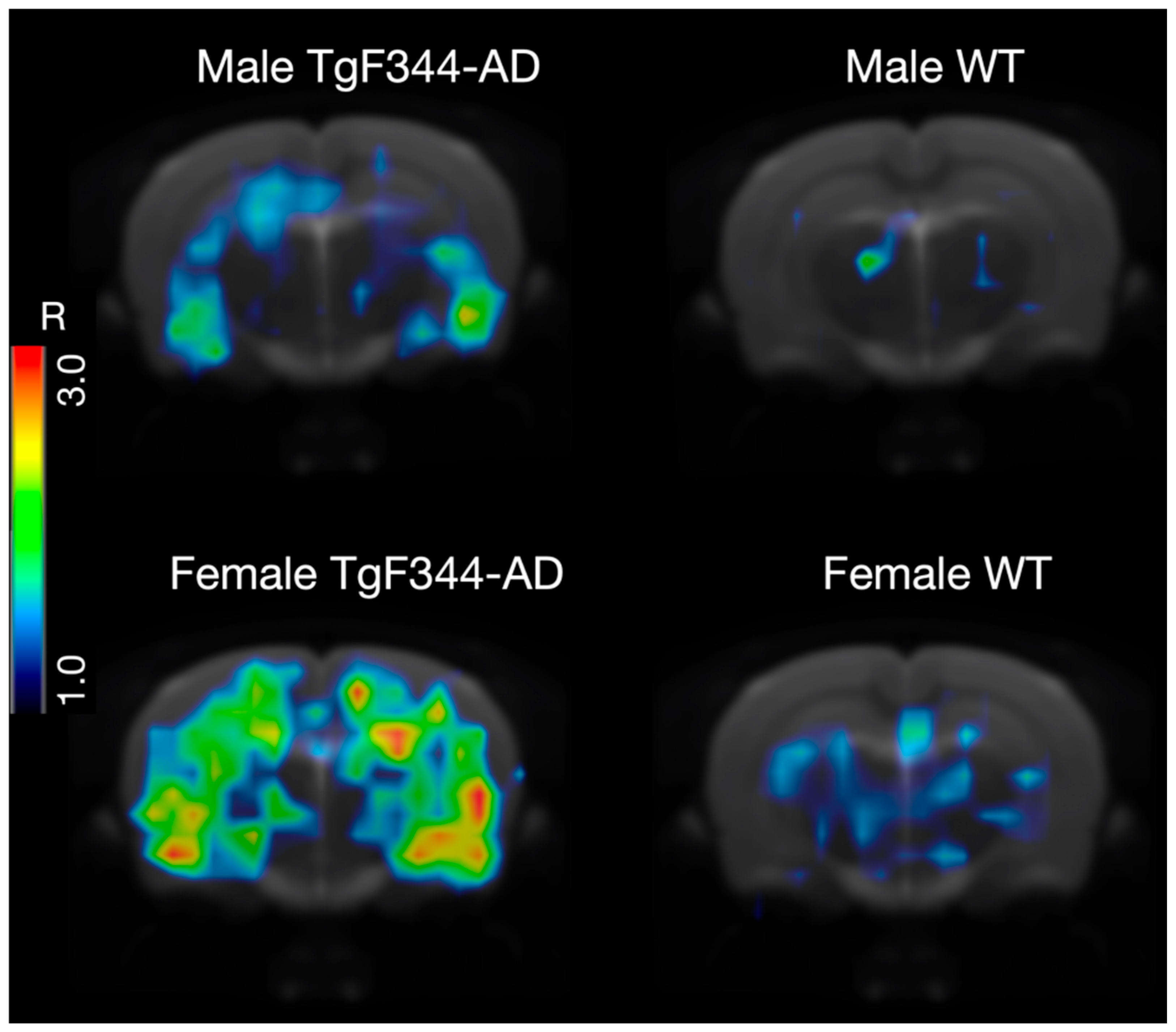 Life 16 00123 g005 Life 16 00123 g005