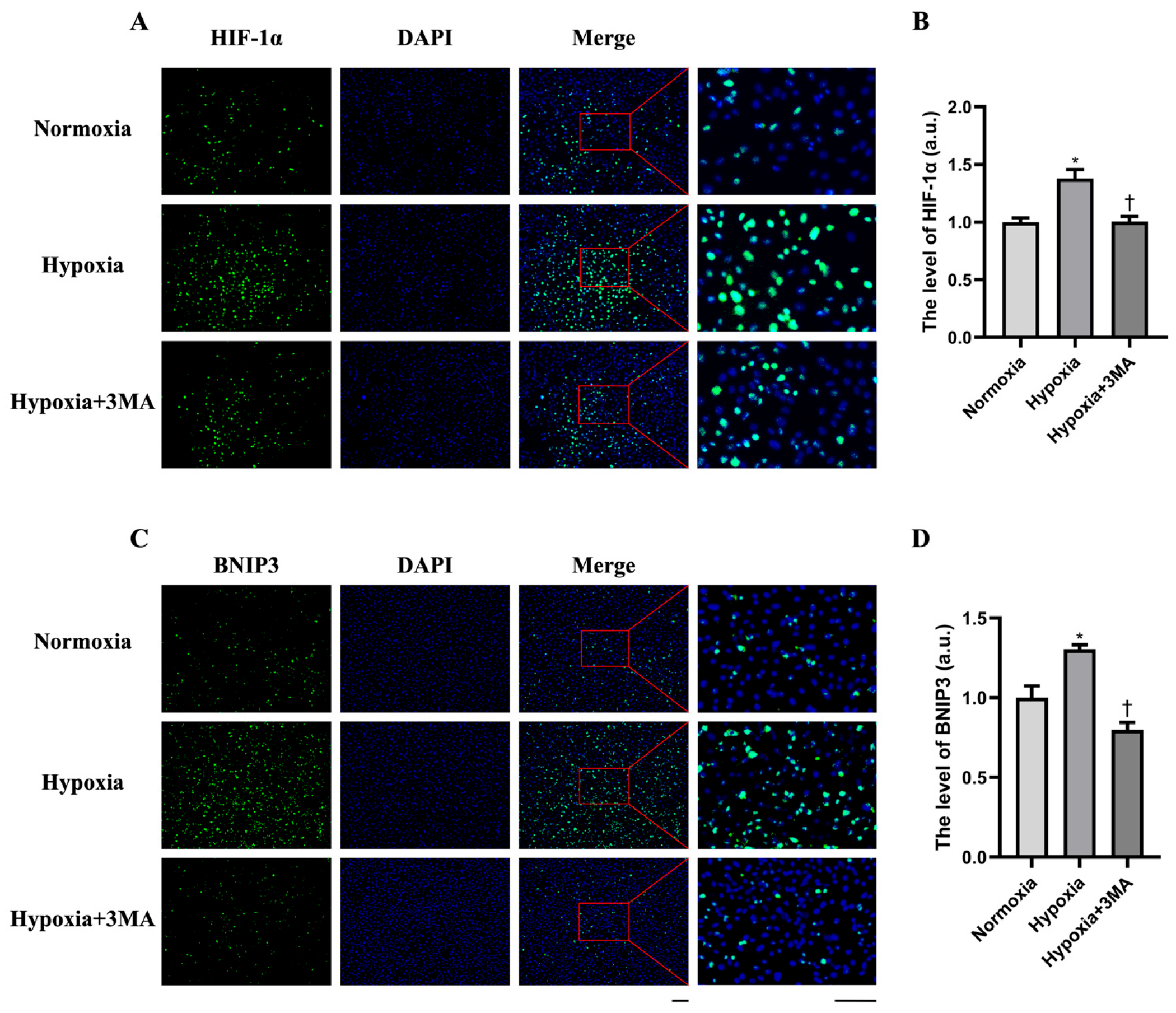 Life 16 00144 g002 Life 16 00144 g002