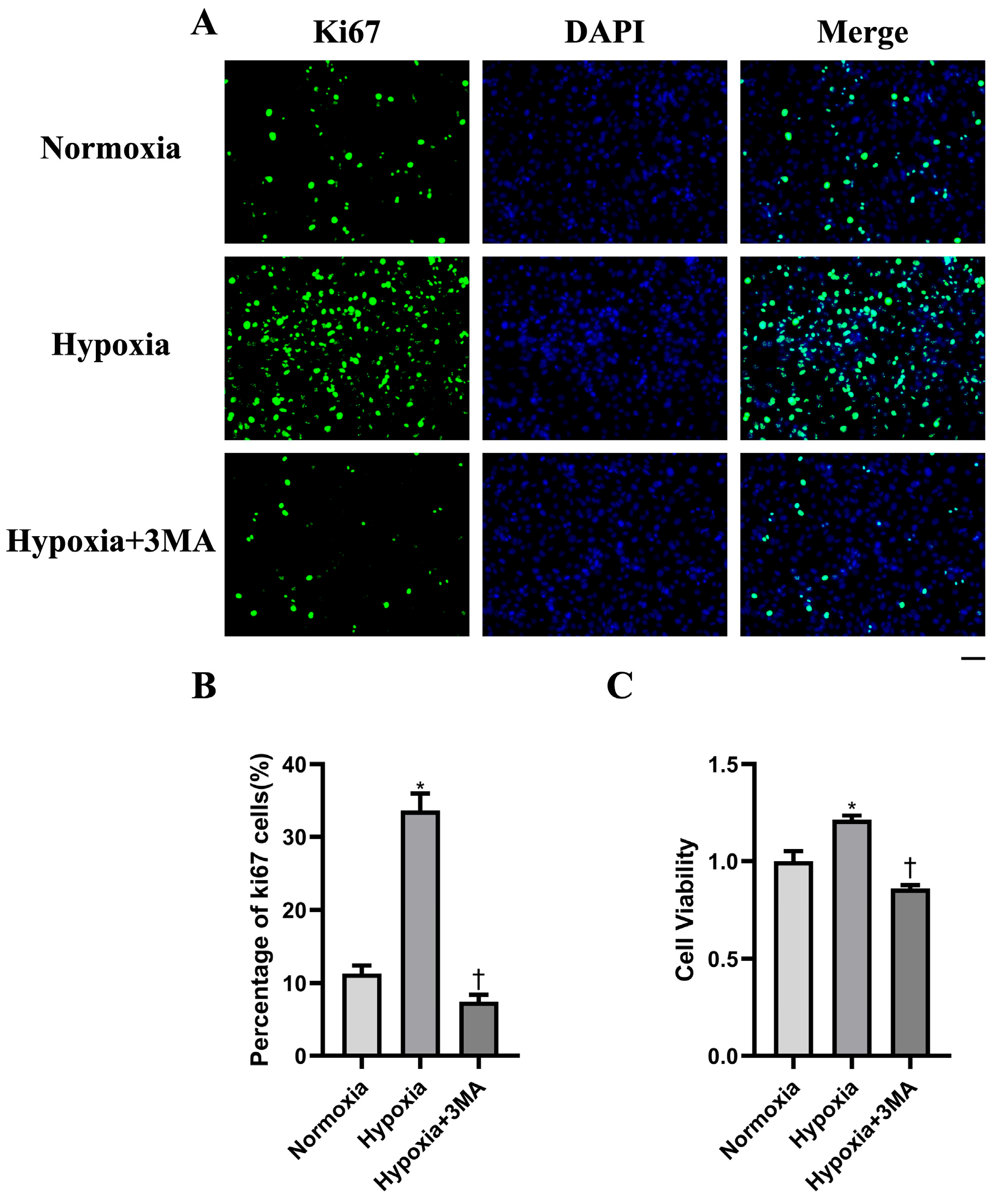 Life 16 00144 g004 Life 16 00144 g004