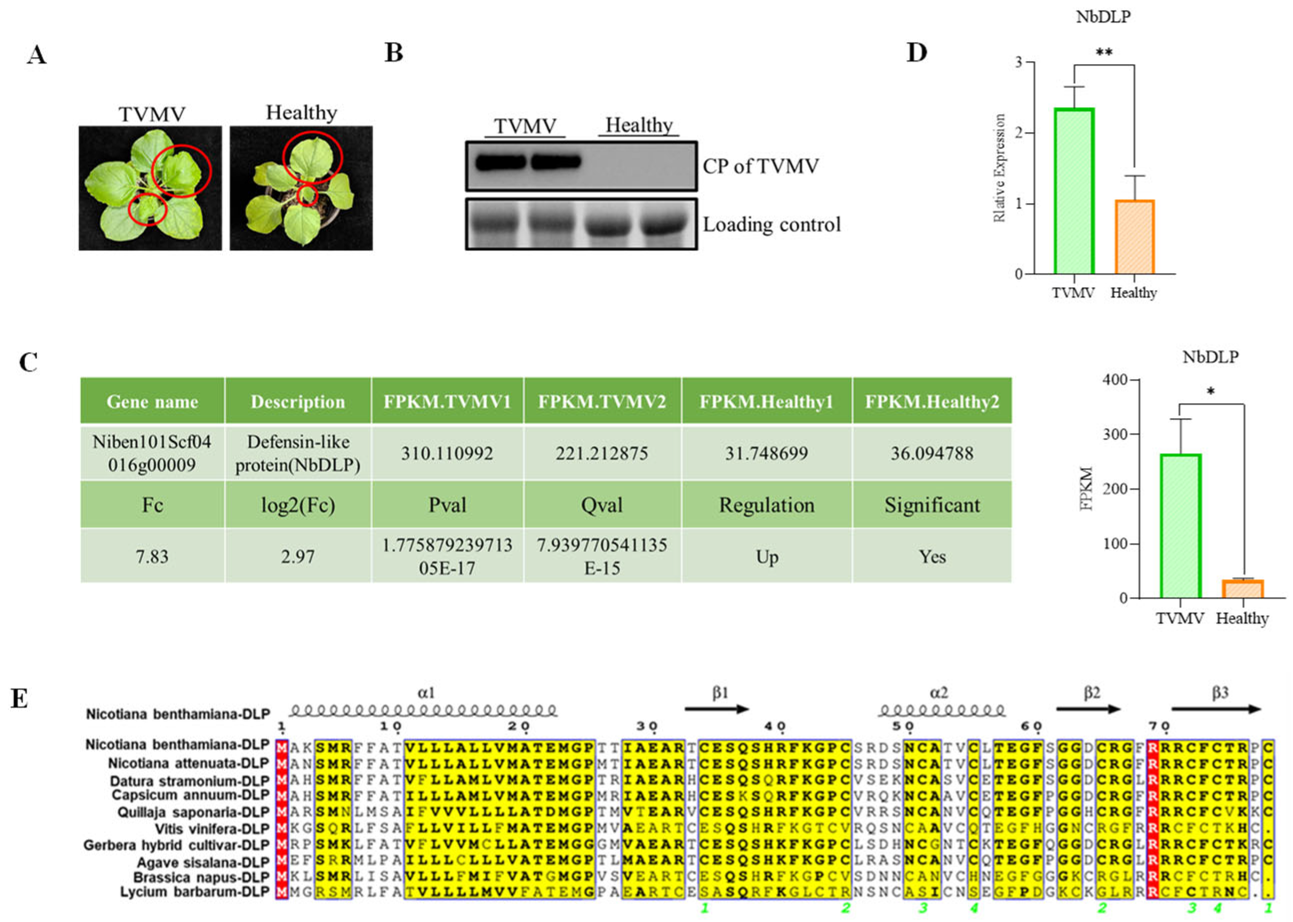 Life 16 00286 g001 Life 16 00286 g001