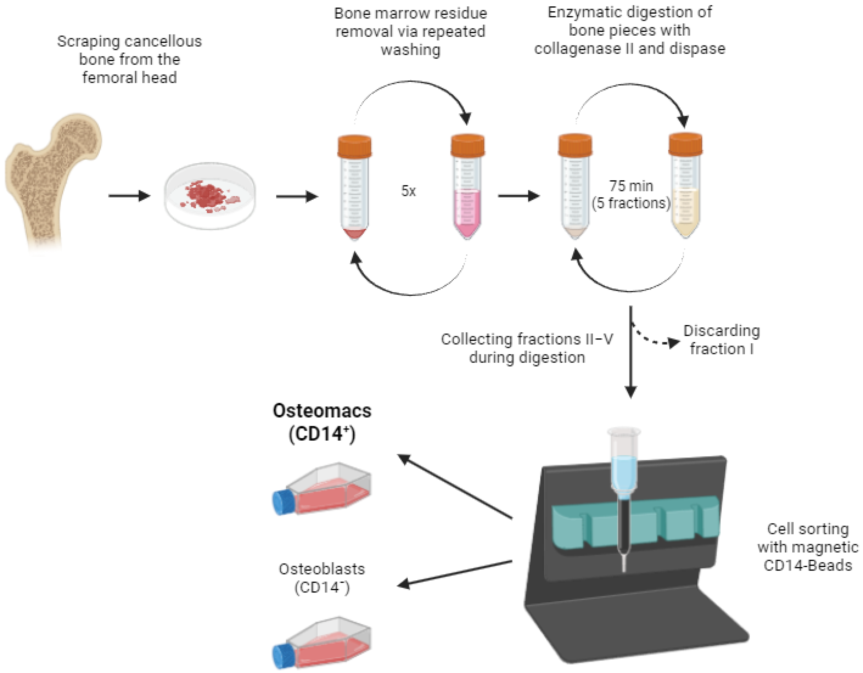 Life 16 00376 g001 Life 16 00376 g001