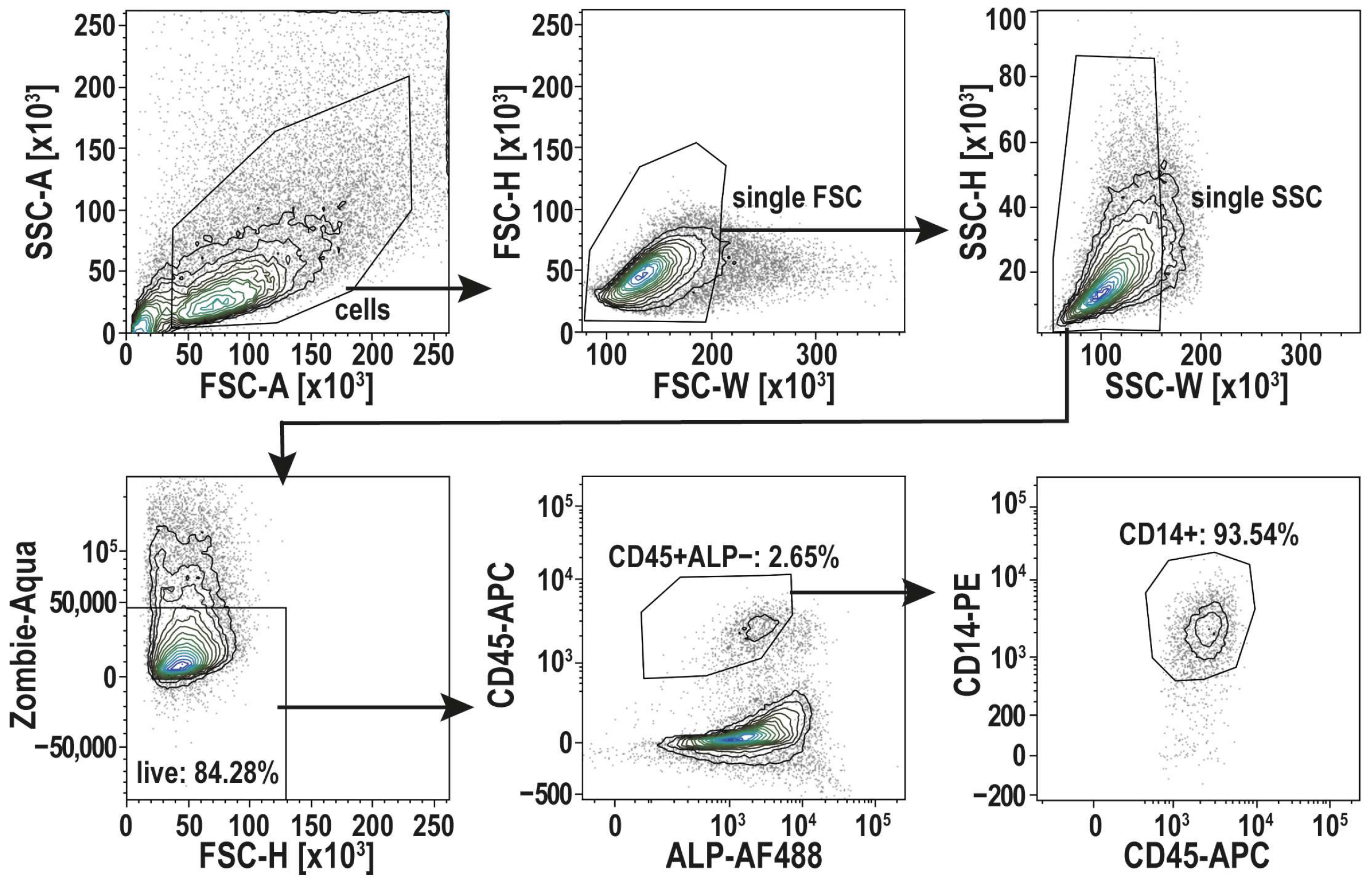 Life 16 00376 g002 Life 16 00376 g002