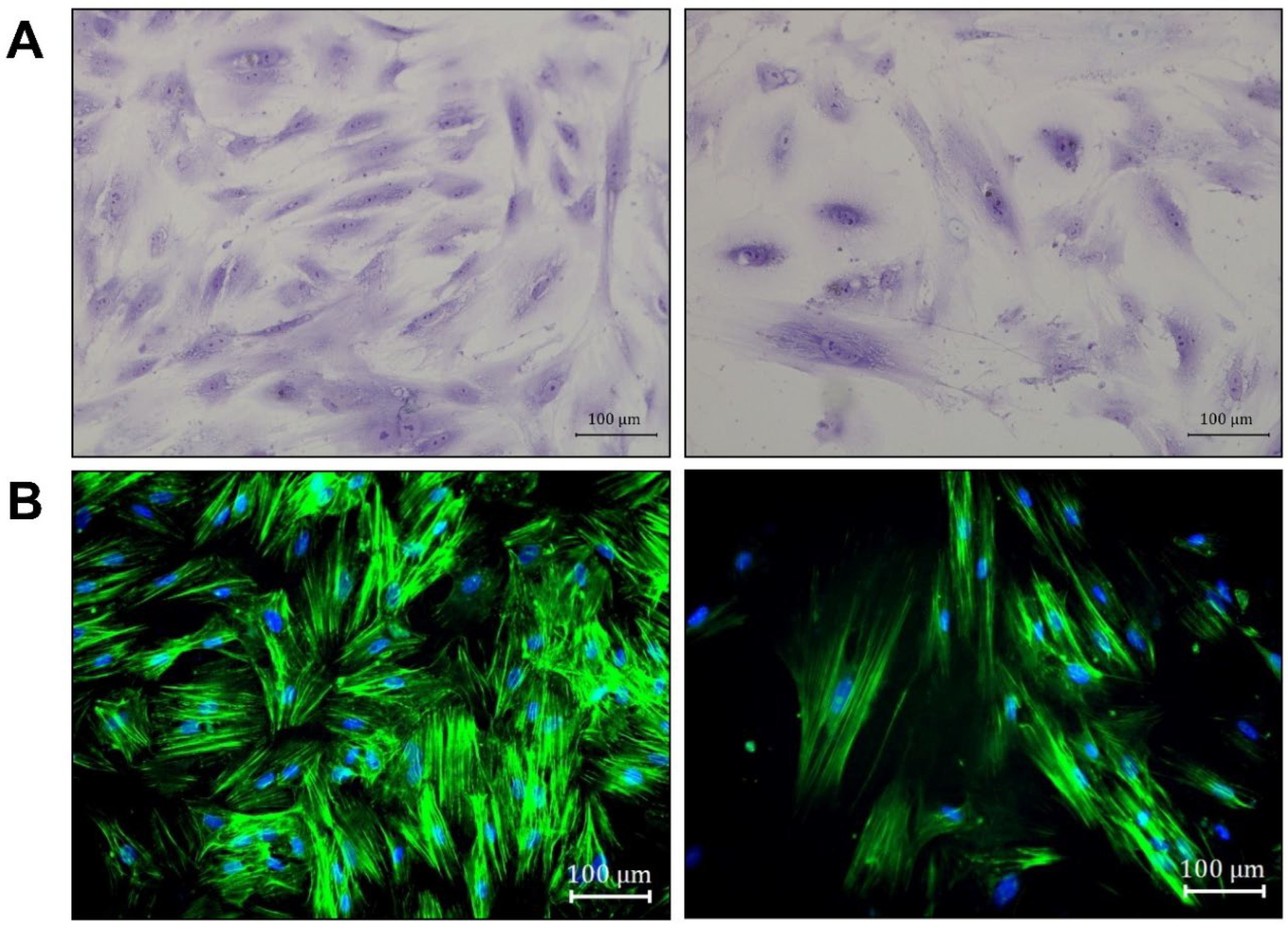 Life 16 00376 g004 Life 16 00376 g004