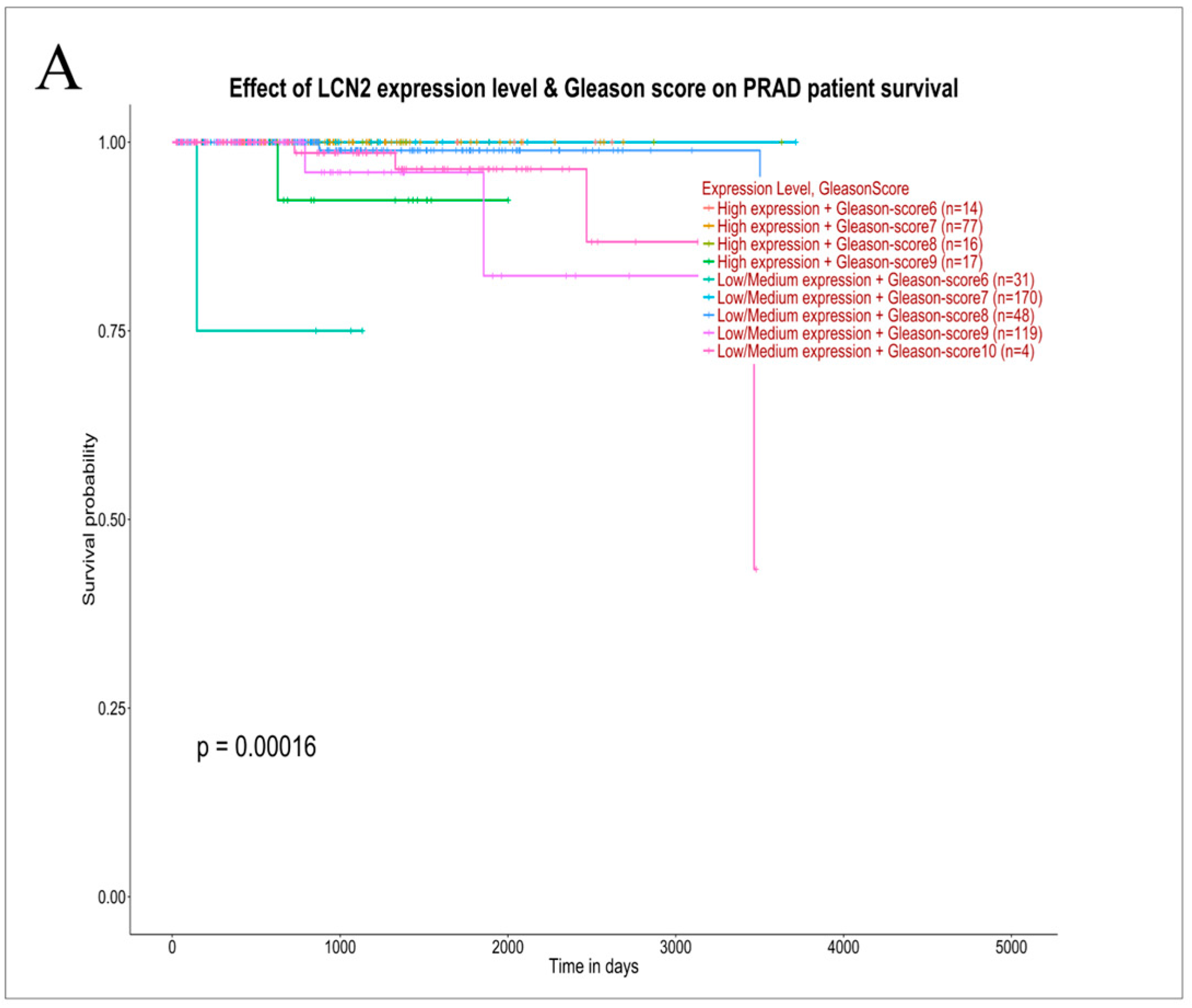 Life 16 00383 g004a Life 16 00383 g004a
