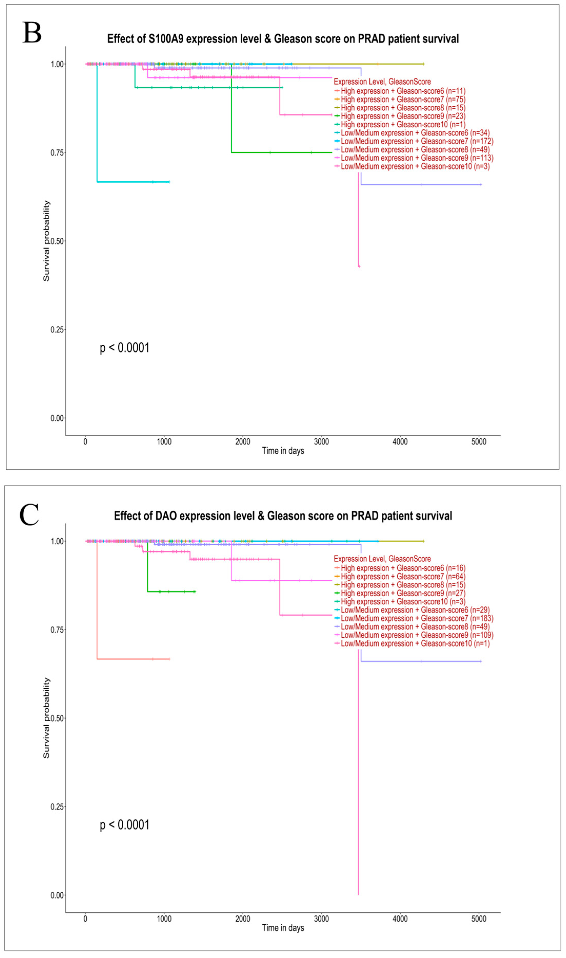 Life 16 00383 g004b Life 16 00383 g004b