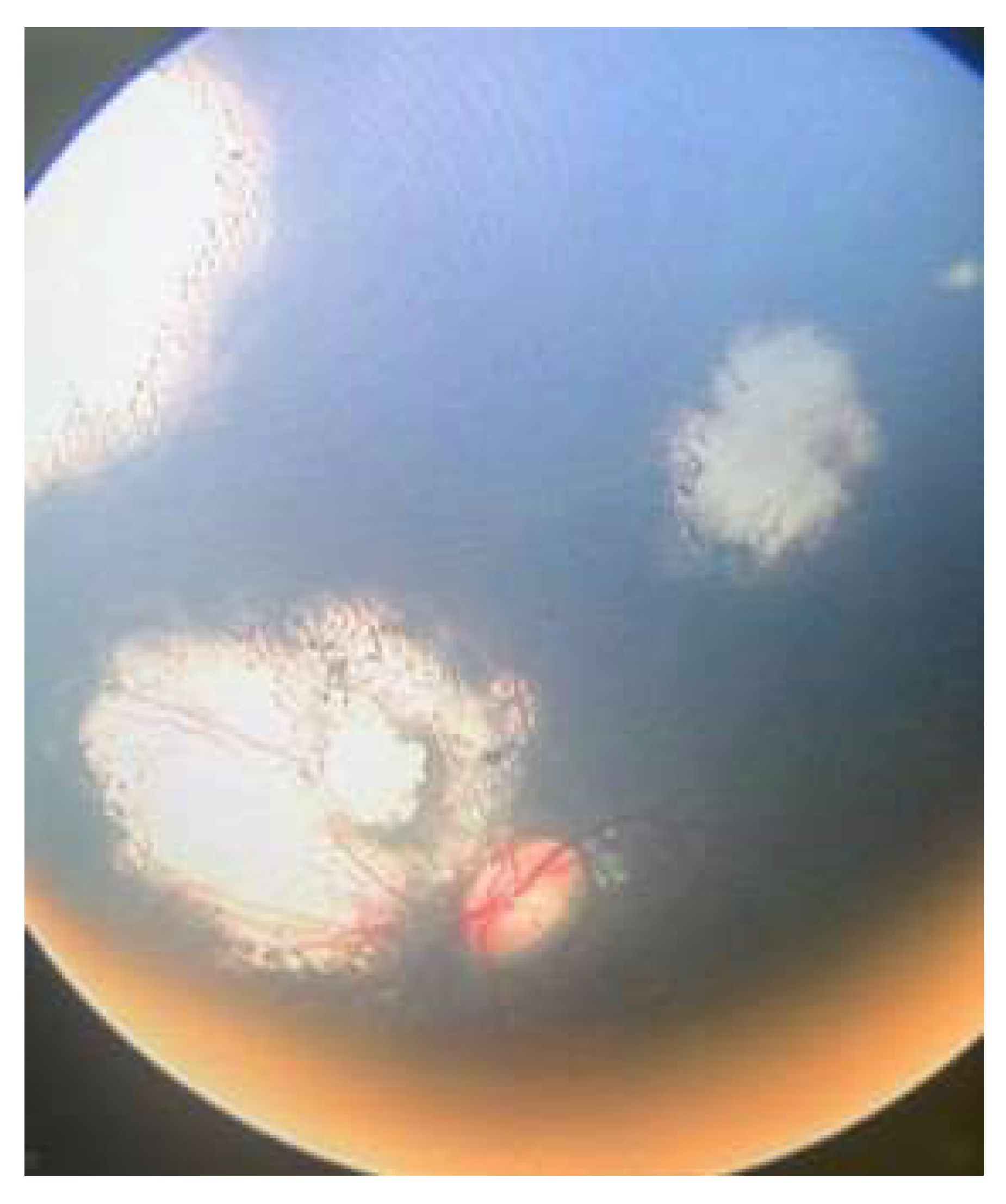 Life 16 00572 g008 Life 16 00572 g008