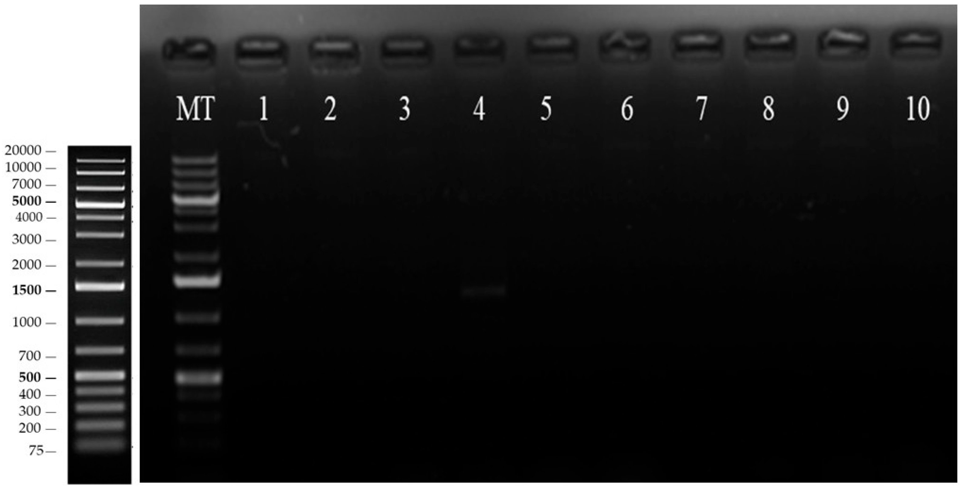Life 16 01190 g007 Life 16 01190 g007