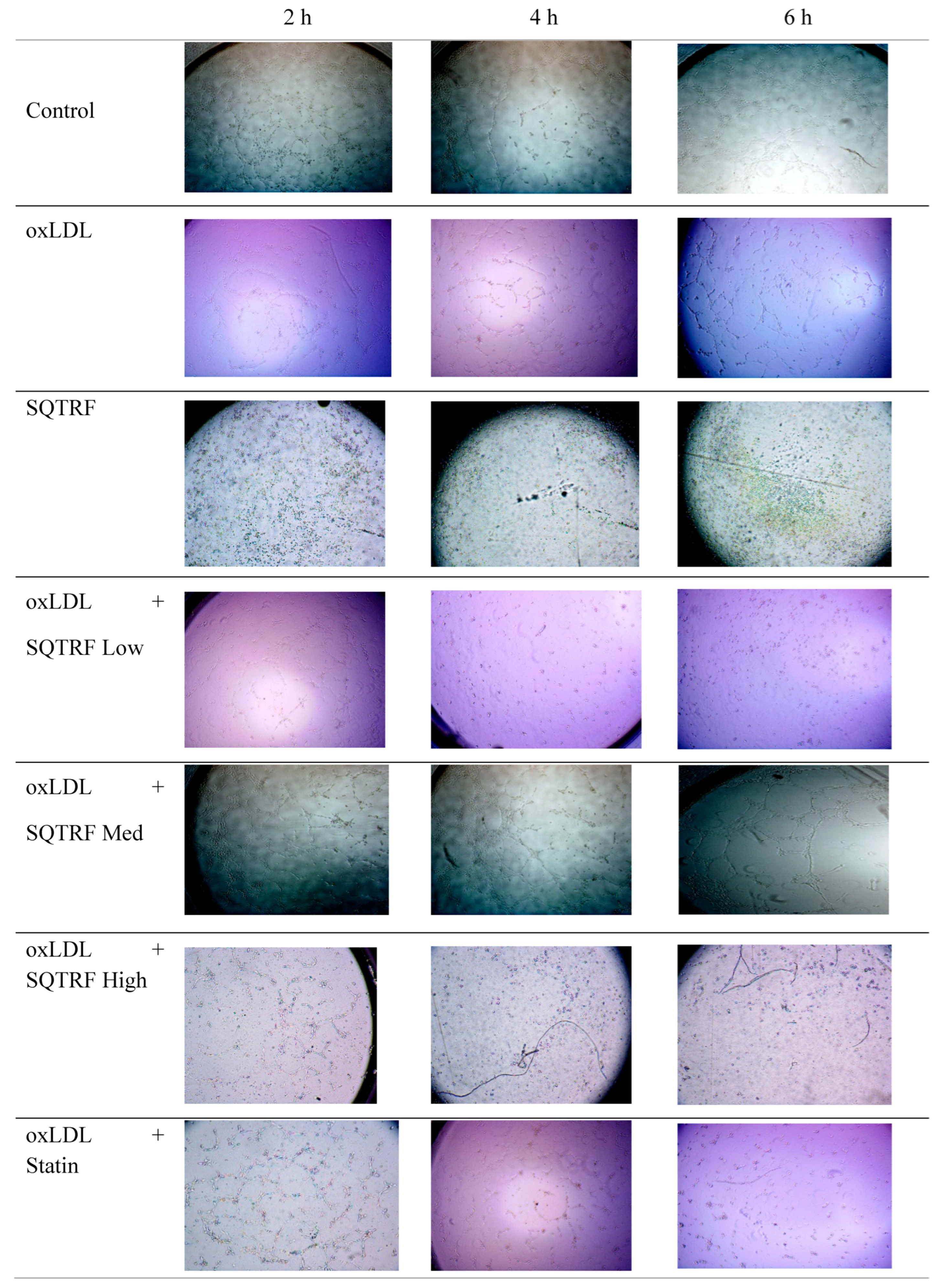 Life 16 01755 g003a
