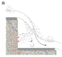 Limnolrev 24 00038 i021