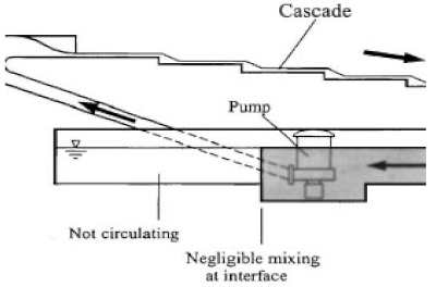 Limnolrev 24 00038 i034