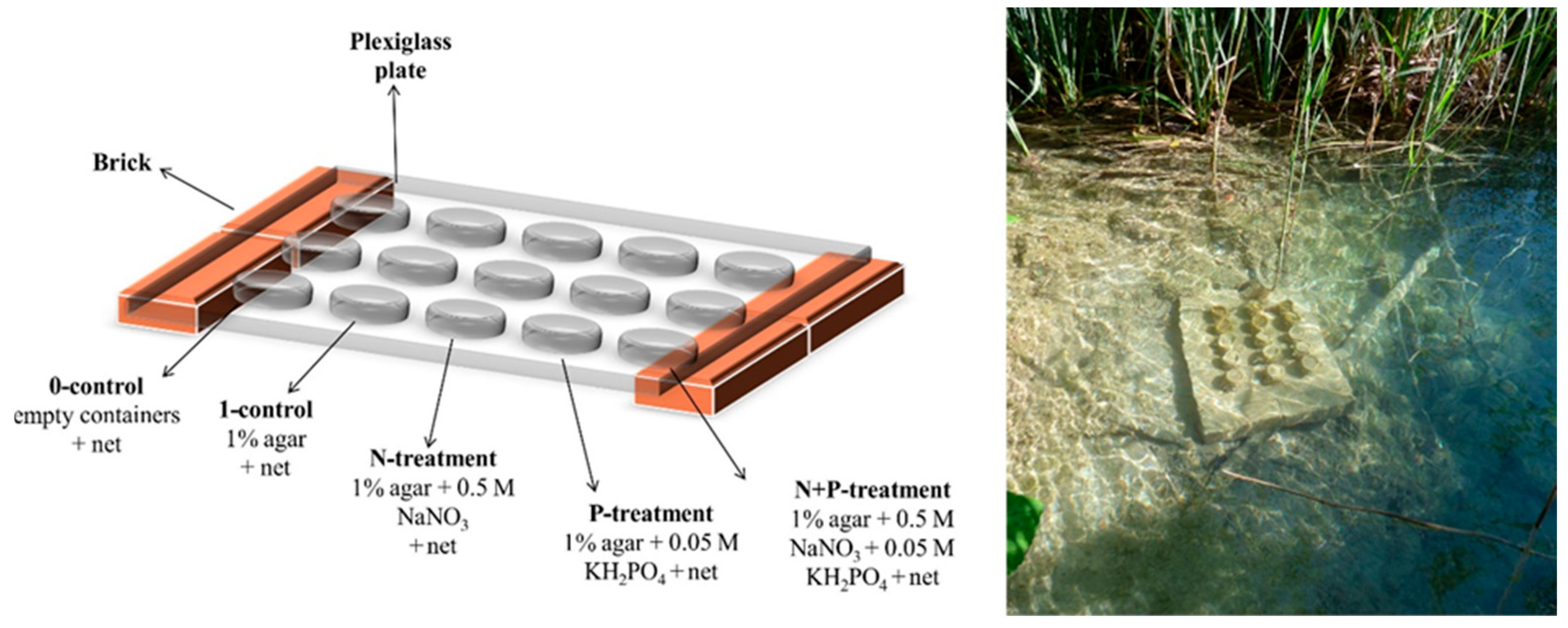 Limnolrev 25 00014 g002