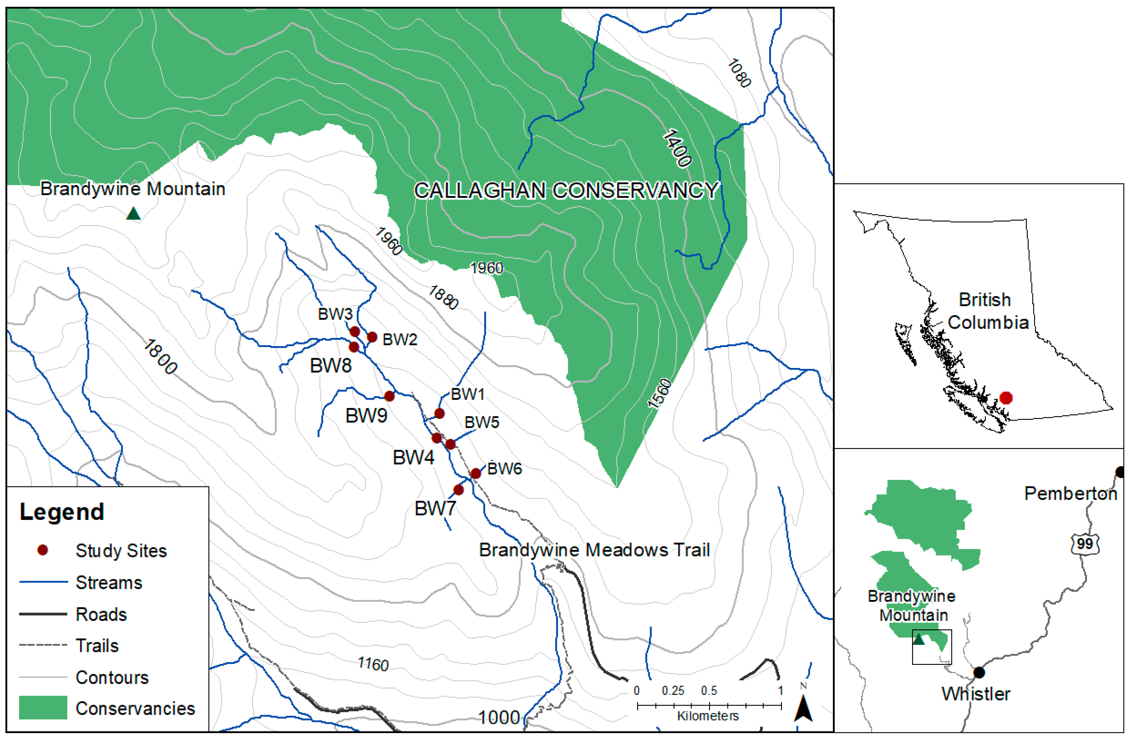 Limnolrev 25 00038 g001 Limnolrev 25 00038 g001