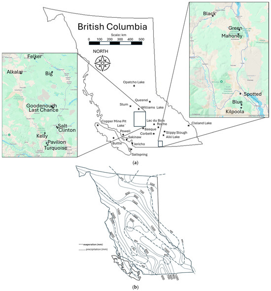 Limnolrev 25 00041 g005