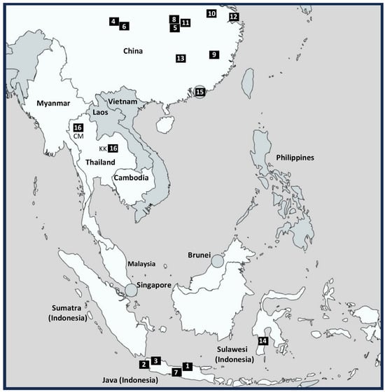 Regional map of Monopterus albus study locations across East and Southeast Asia used in the comparative synthesis. The focal market-purchase locations for this study (Chiang Mai and Khon Kaen, Thailand) are highlighted as site #16 and distinguished as CM and KK, respectively. Other numbered sites correspond to locations from prior published studies discussed in Section 4.3.